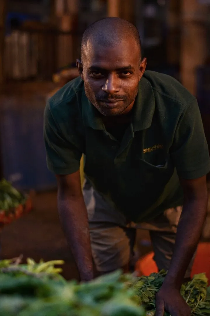 Banner image