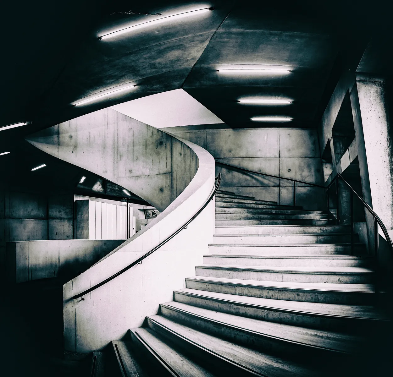 Entry 290008