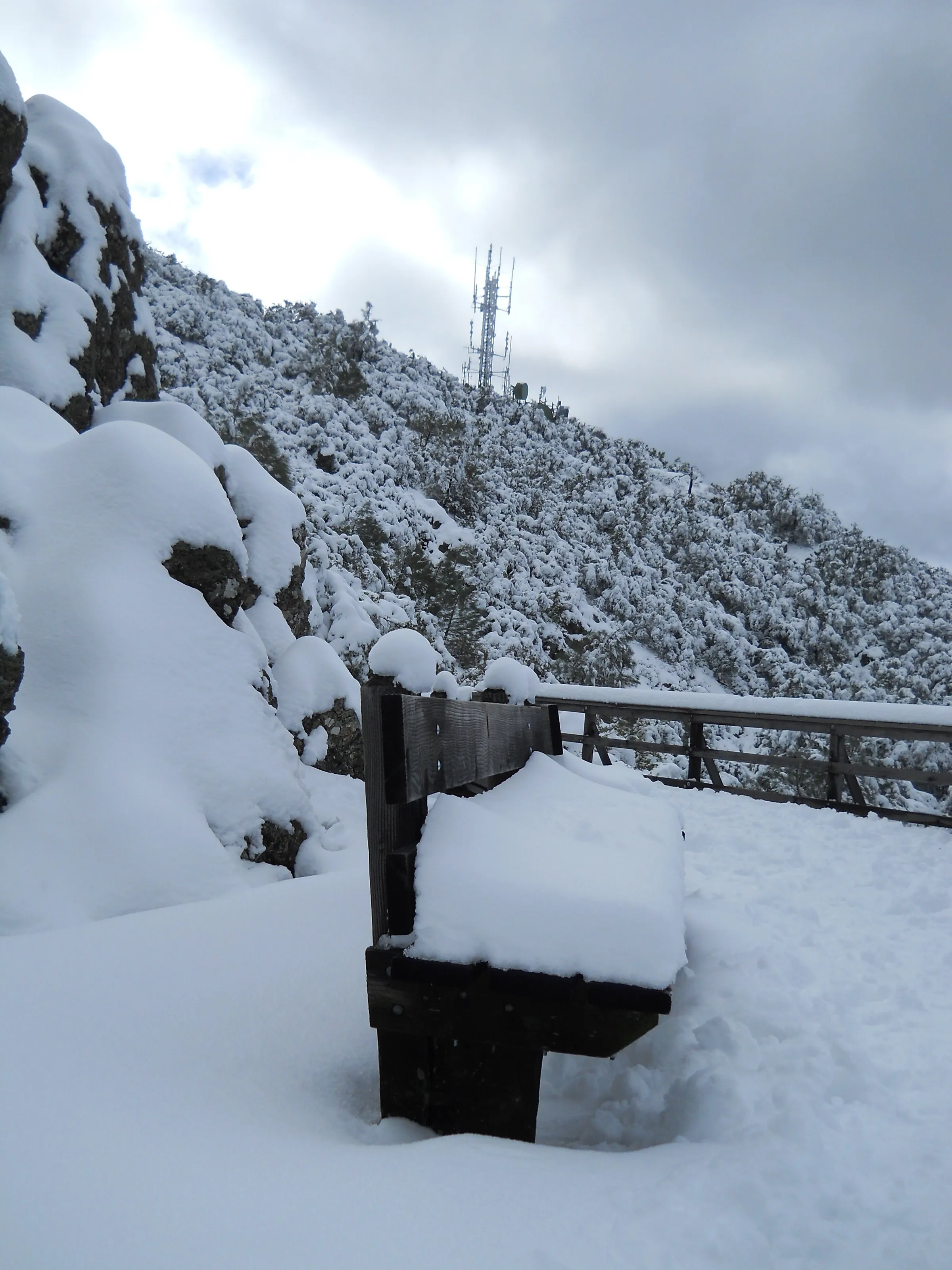 Winter at Mount Diablo , California