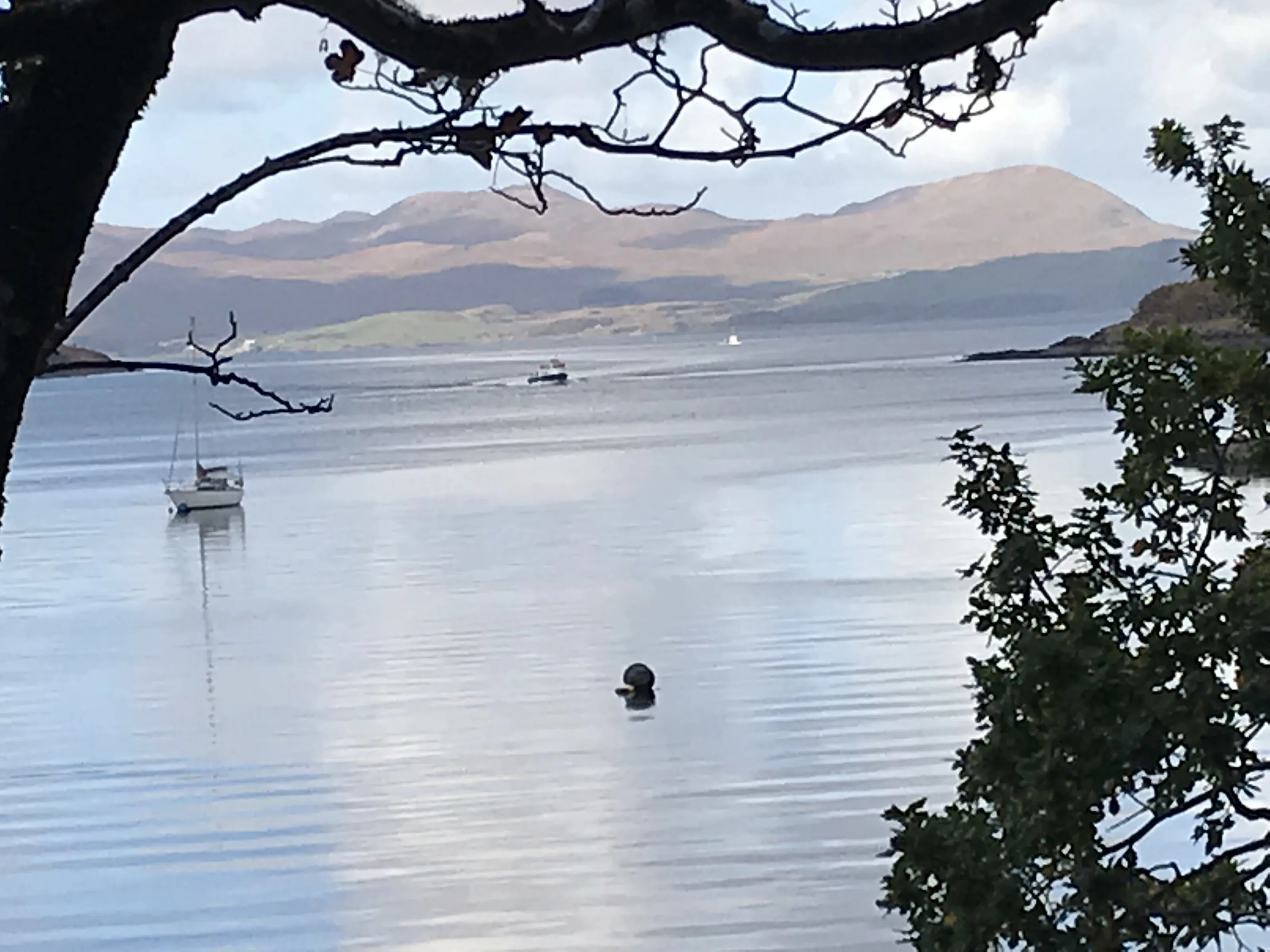Mull