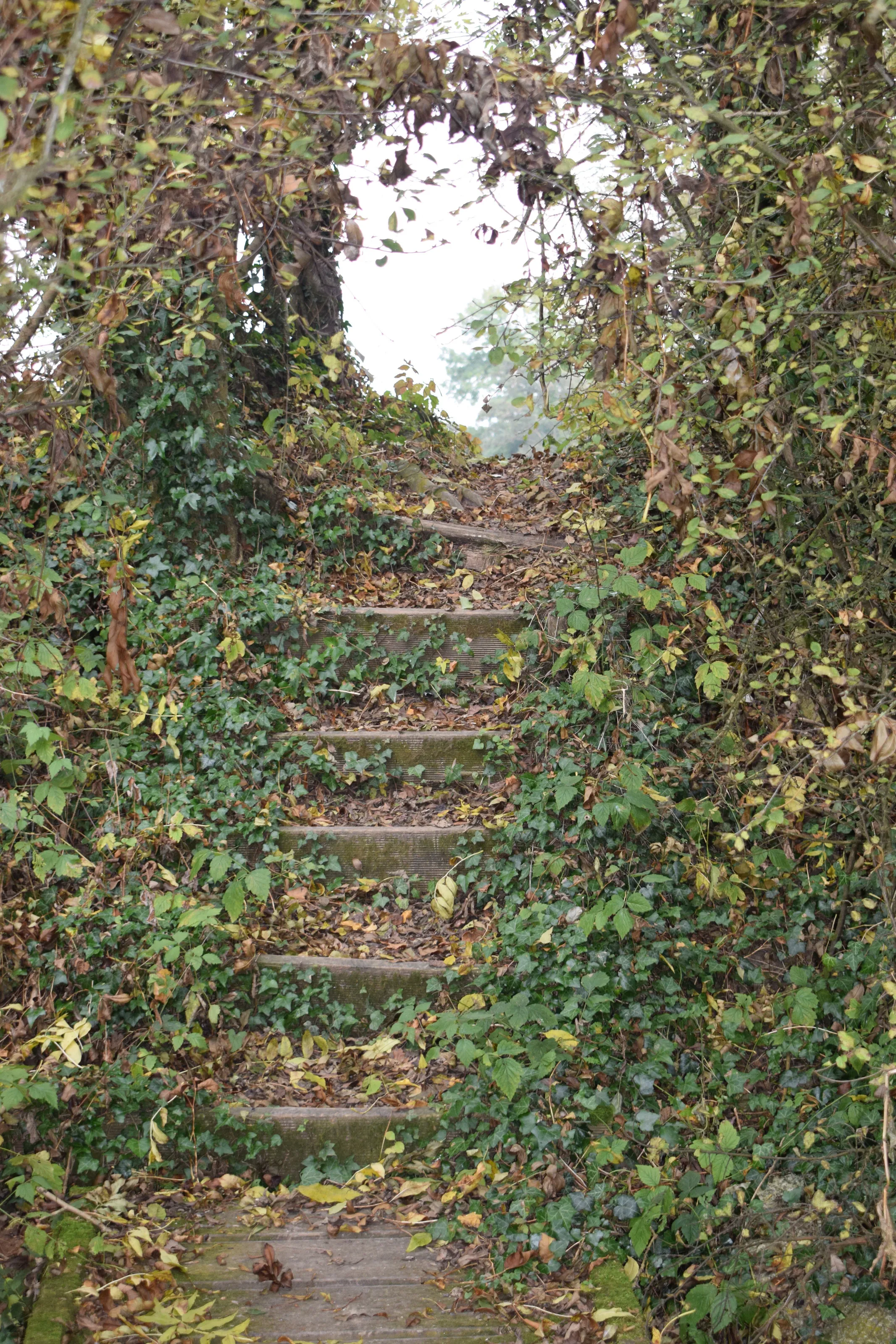 Forgotten steps