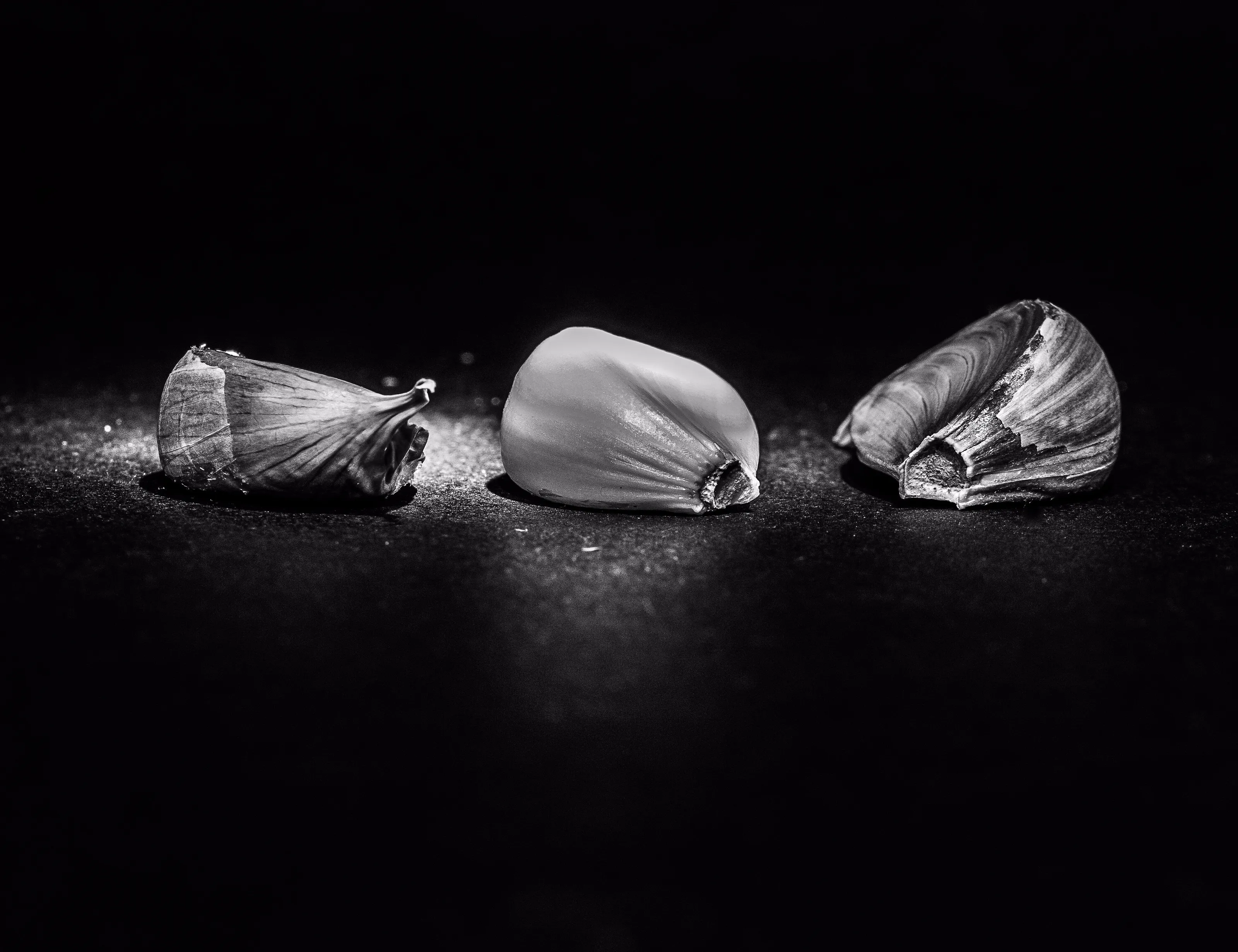 Garlic