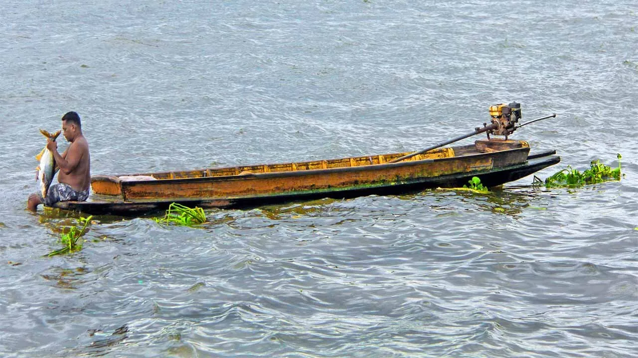 Bangkok Fisherman