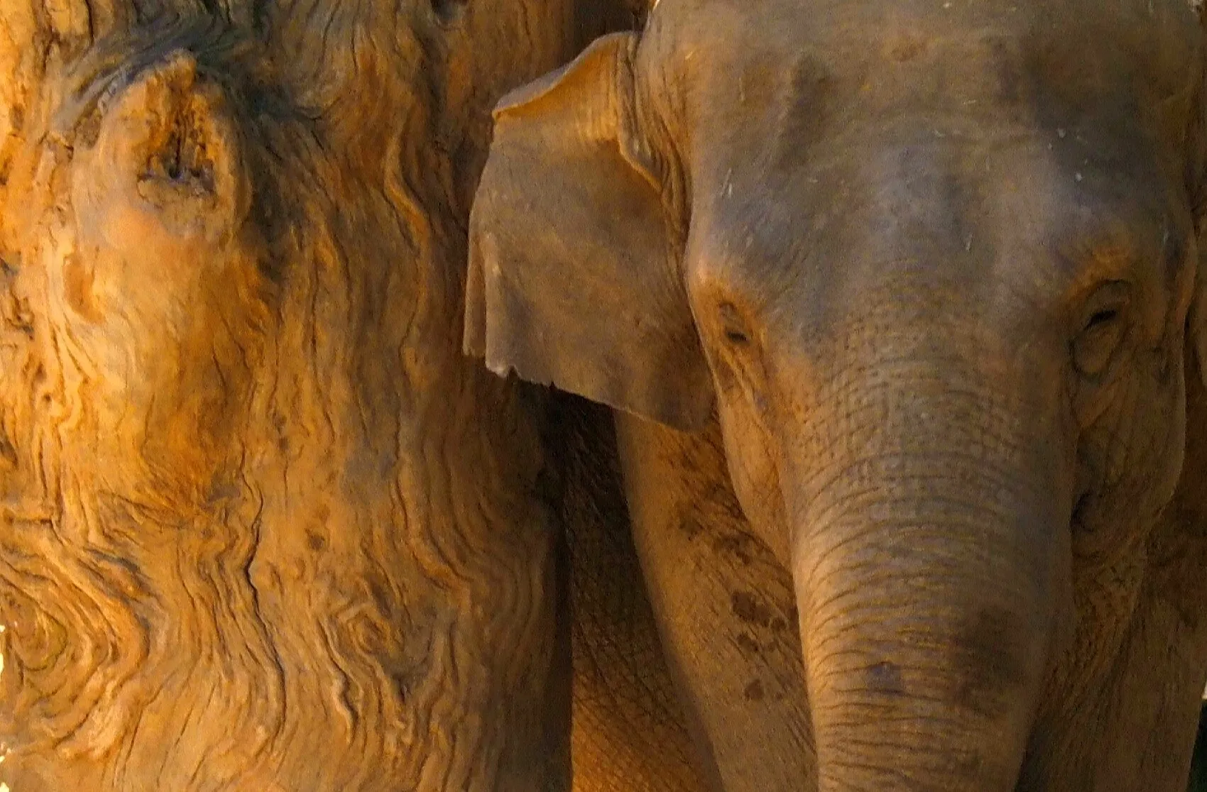 Matriarch