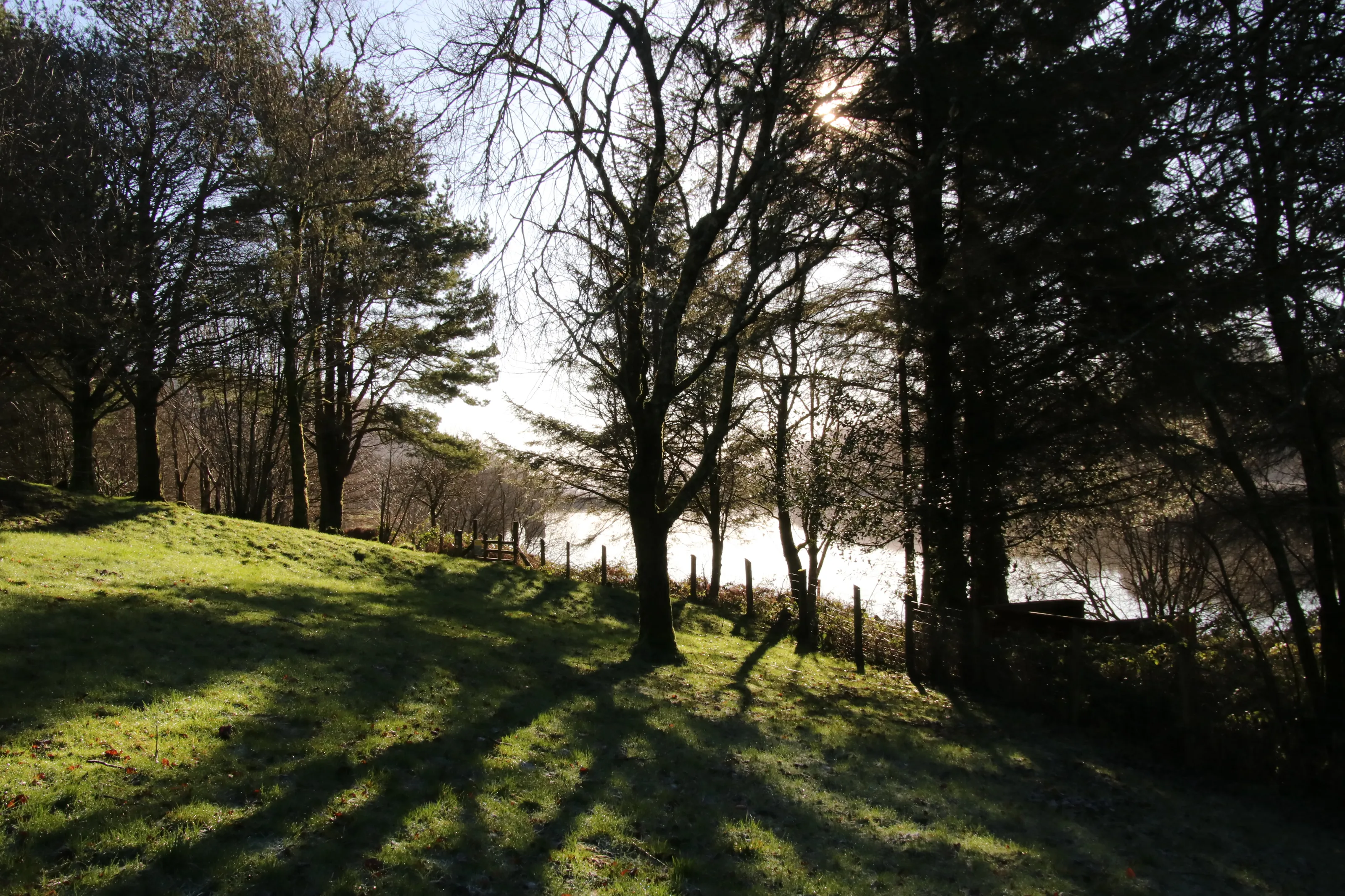 January Sun
