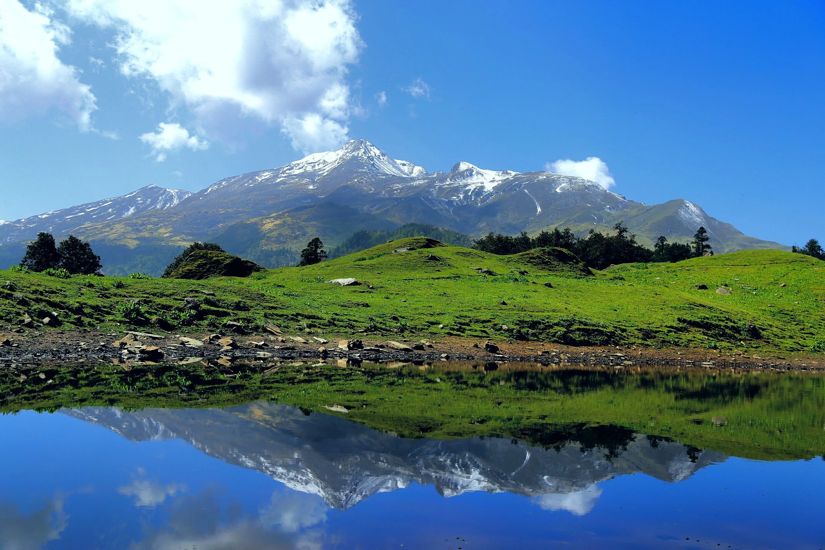 Nature's reflection