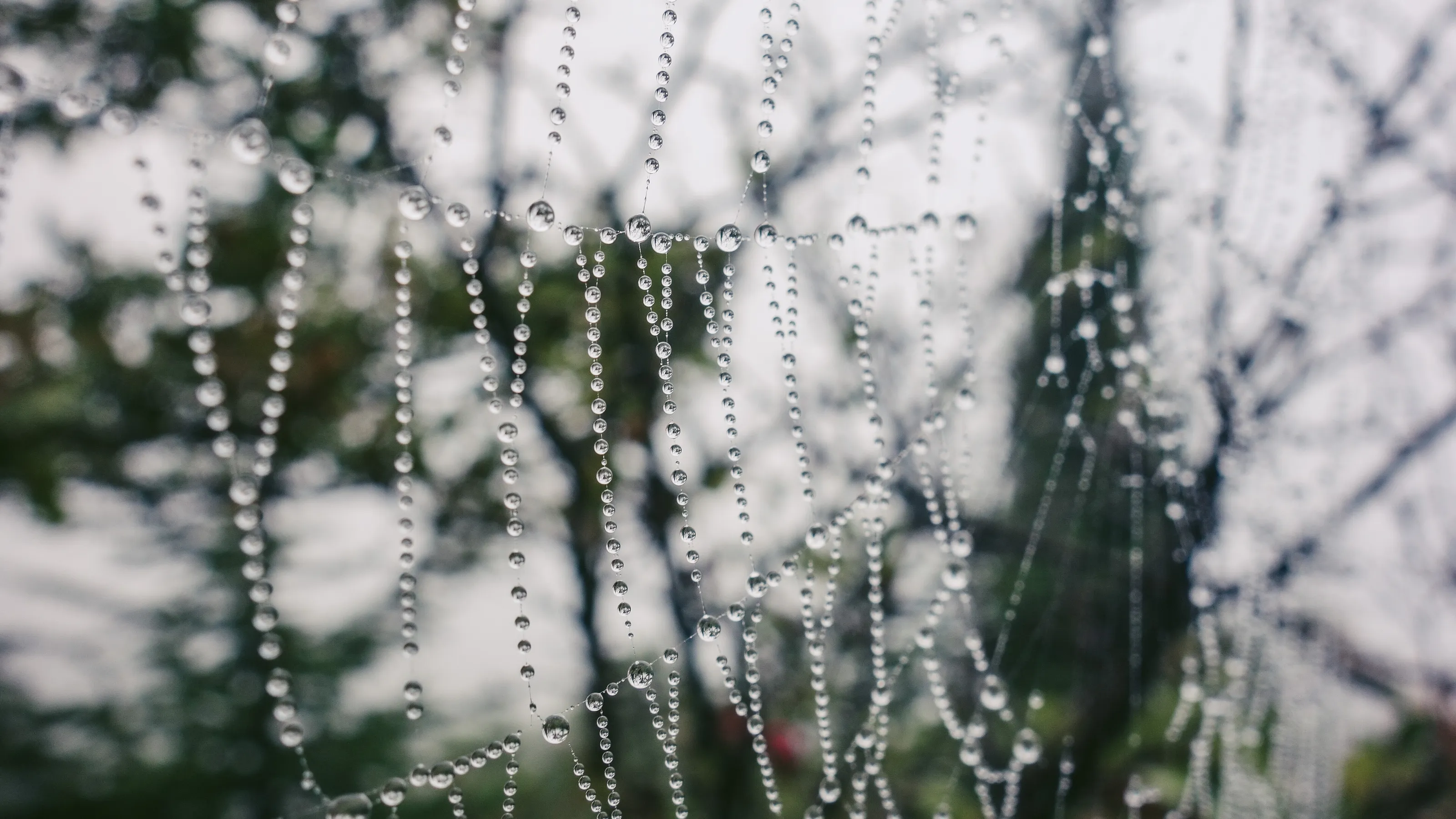 Nature's little treasures