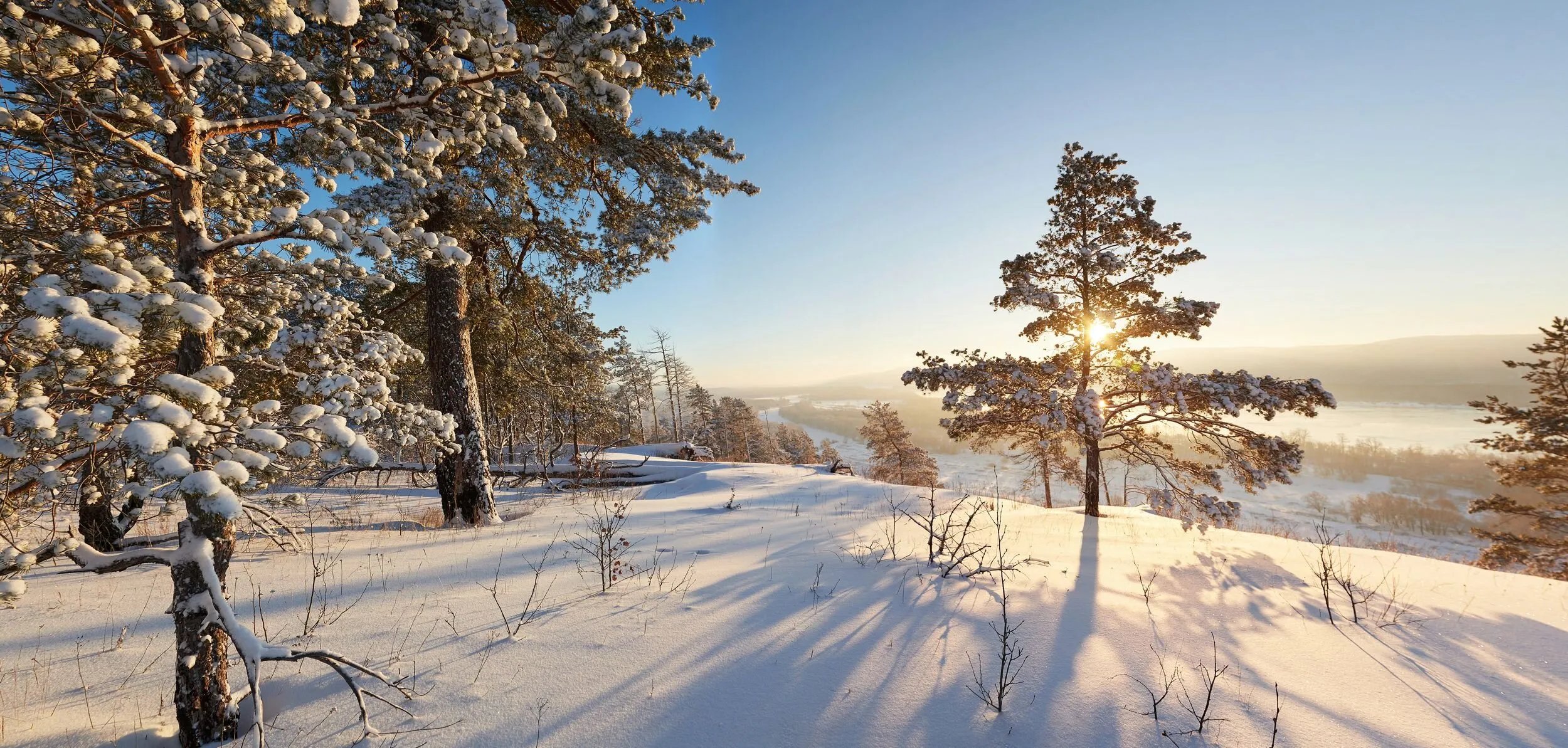 Winter on Fedorovsky Meadows