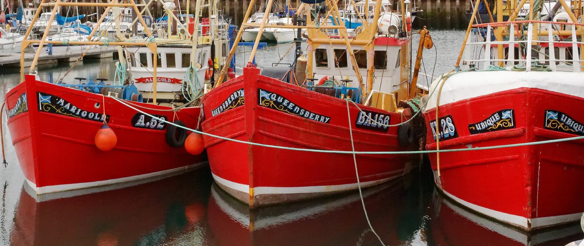 Three Red Boats