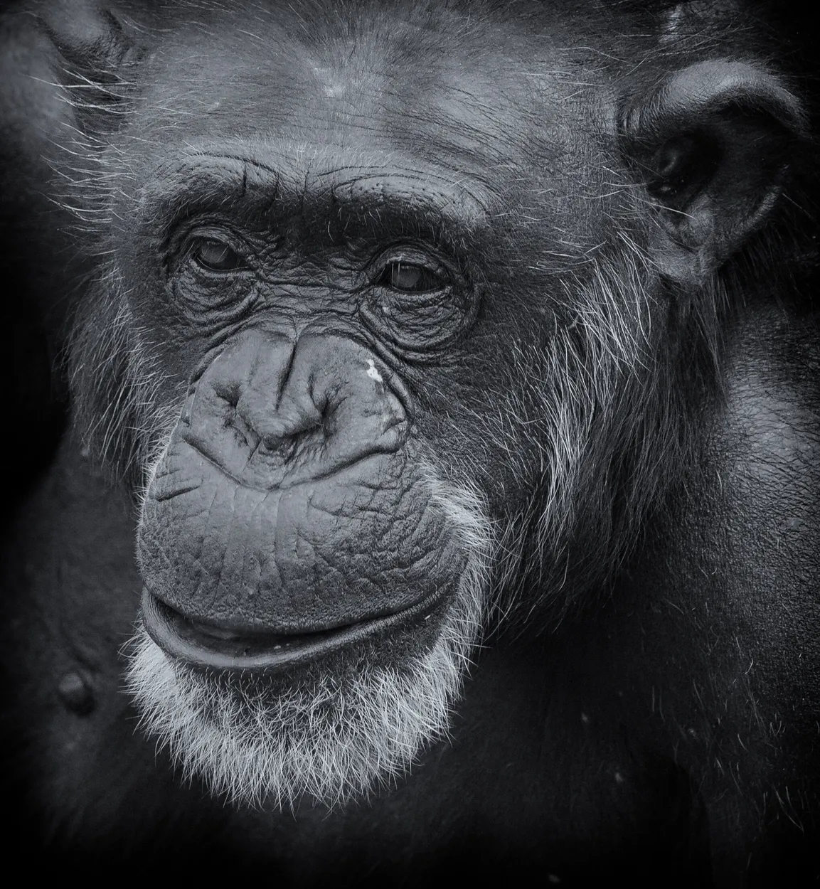 Entry 5785146