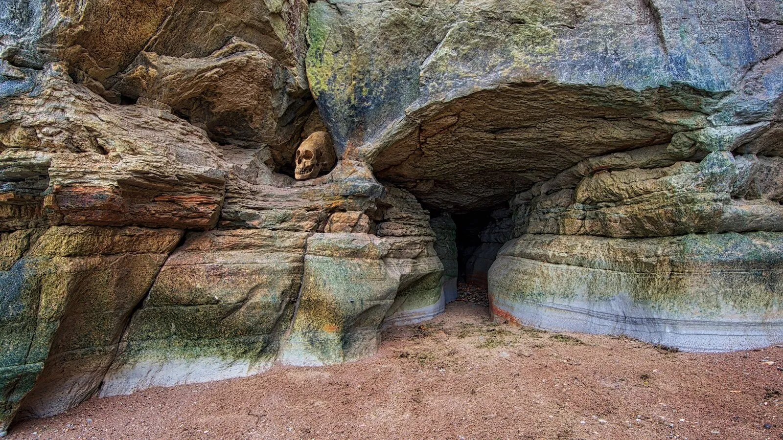 Entry 1001207