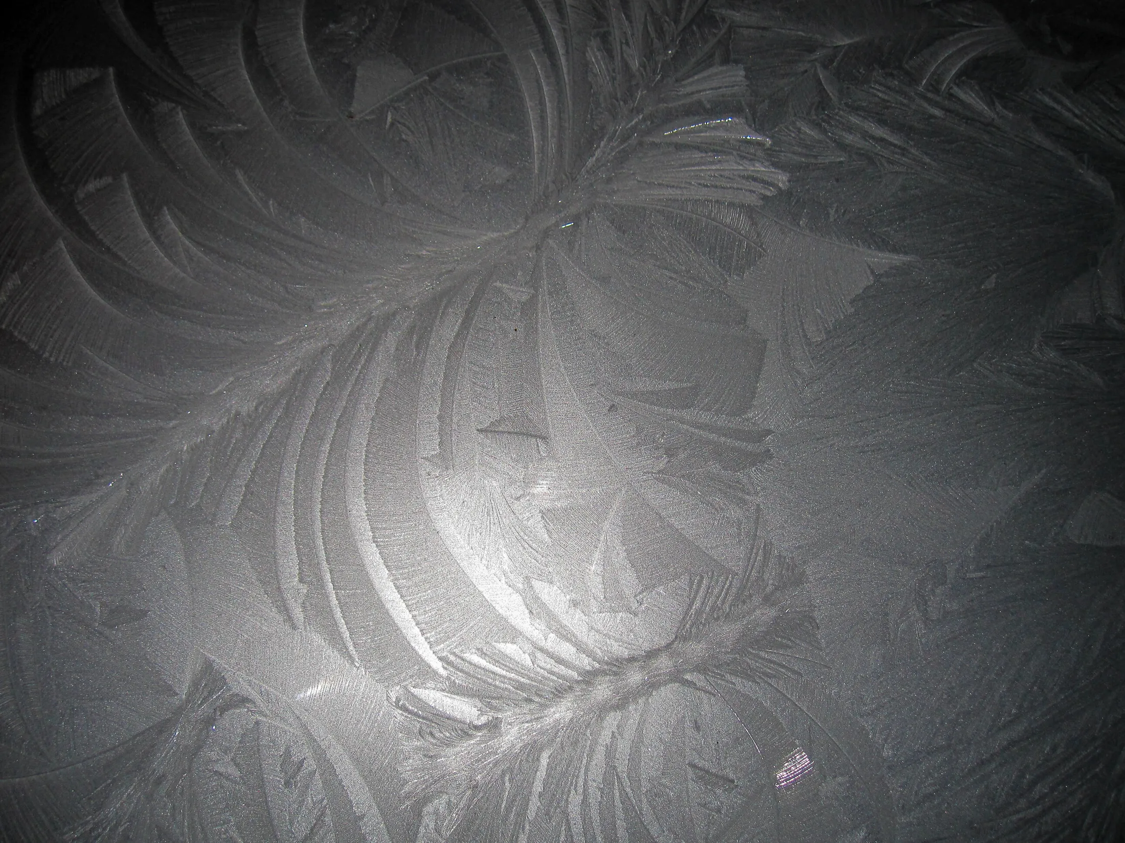 Frost on the car roof