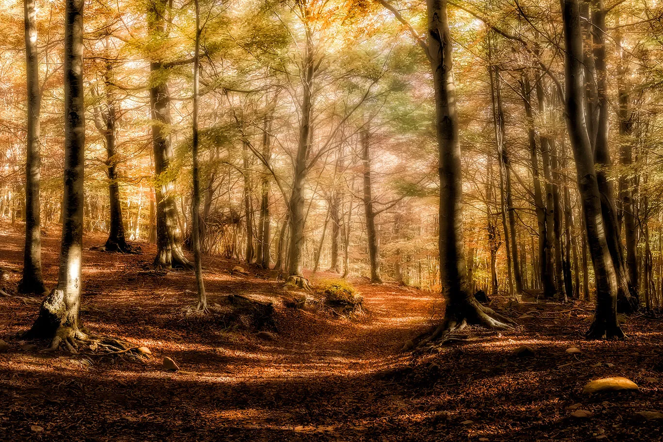 Autumn