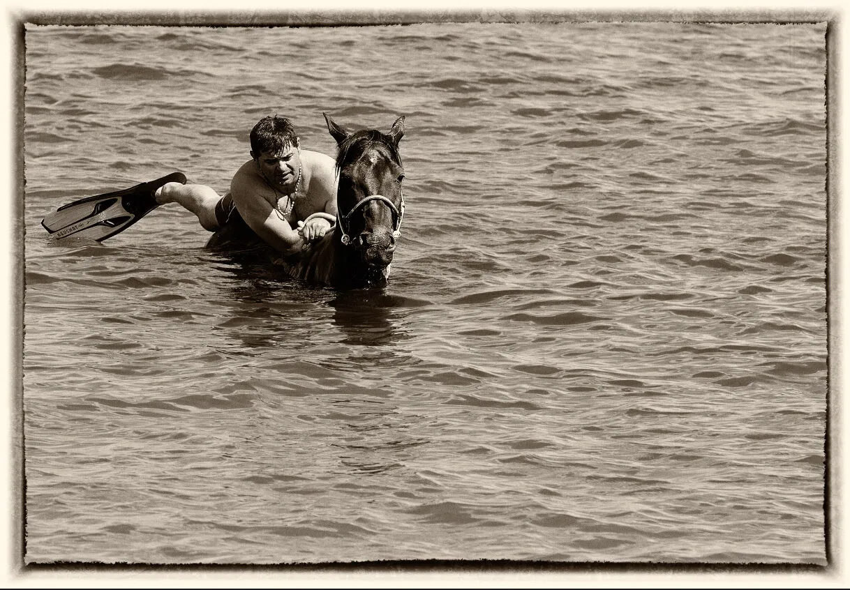 Entry 293570