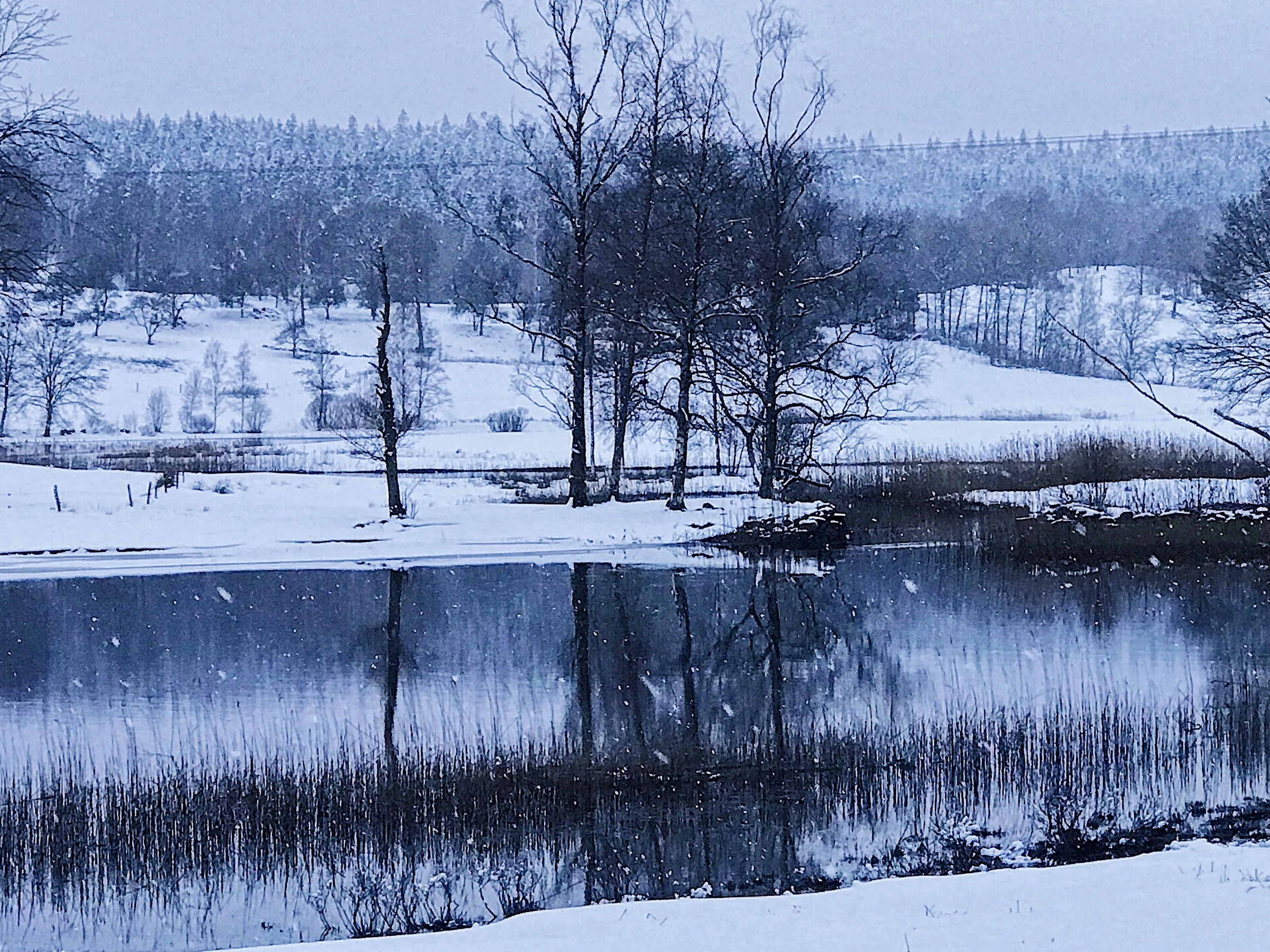 A winterday in Sweden