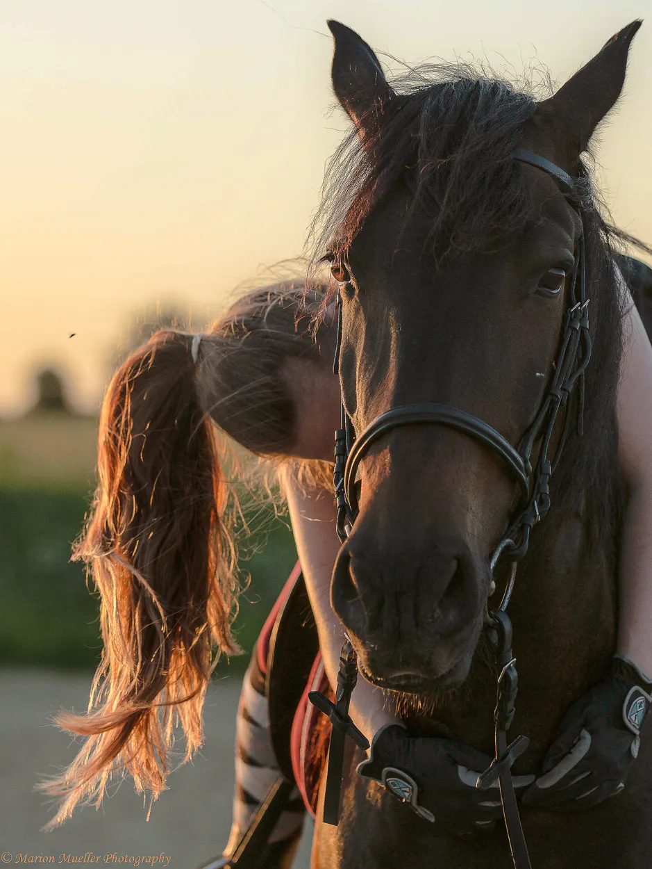 Entry 5801866