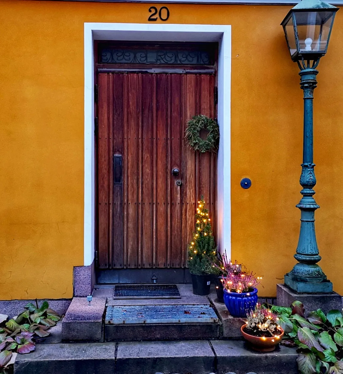 Entry 11103354
