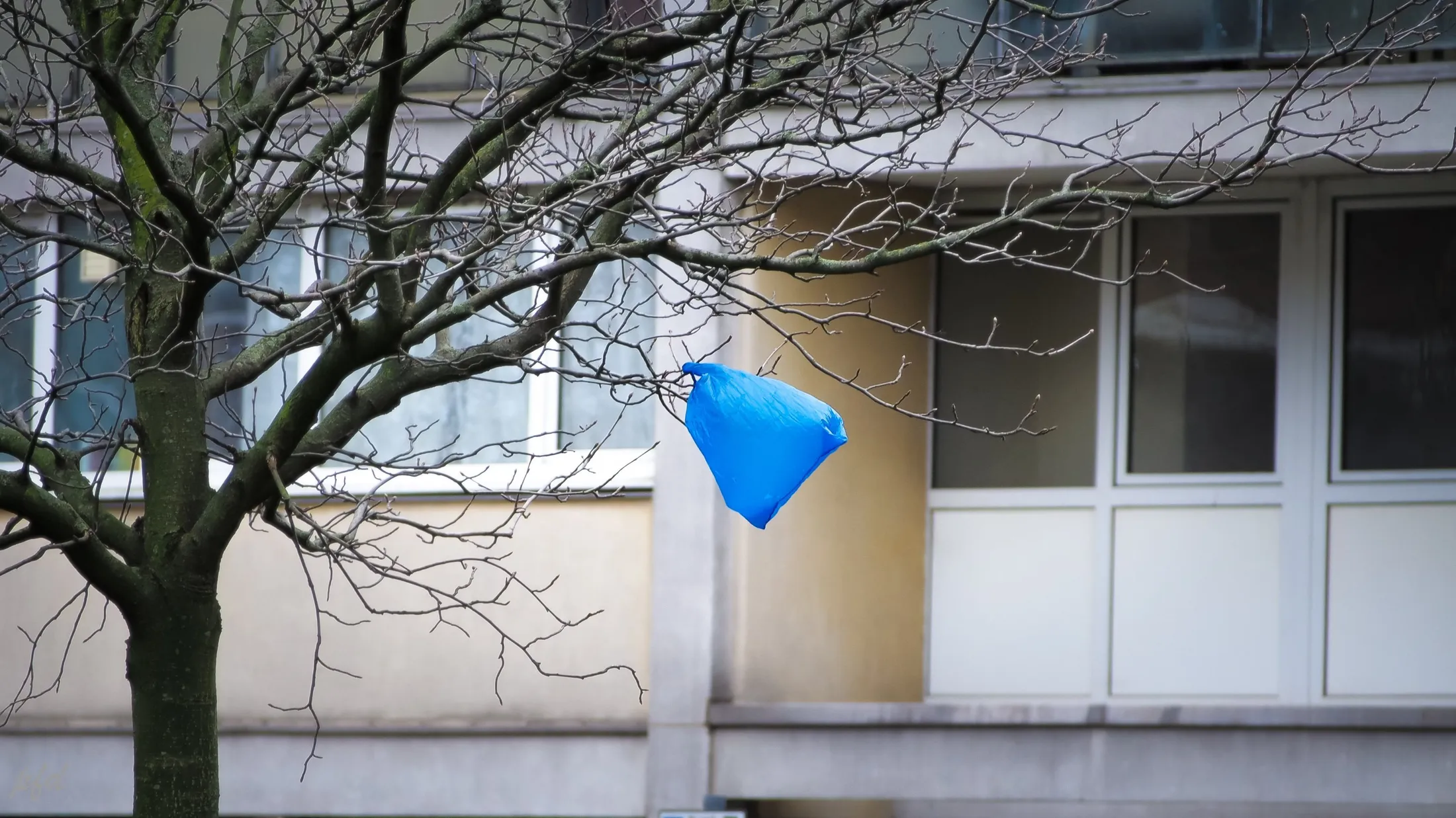 Entry 8507172