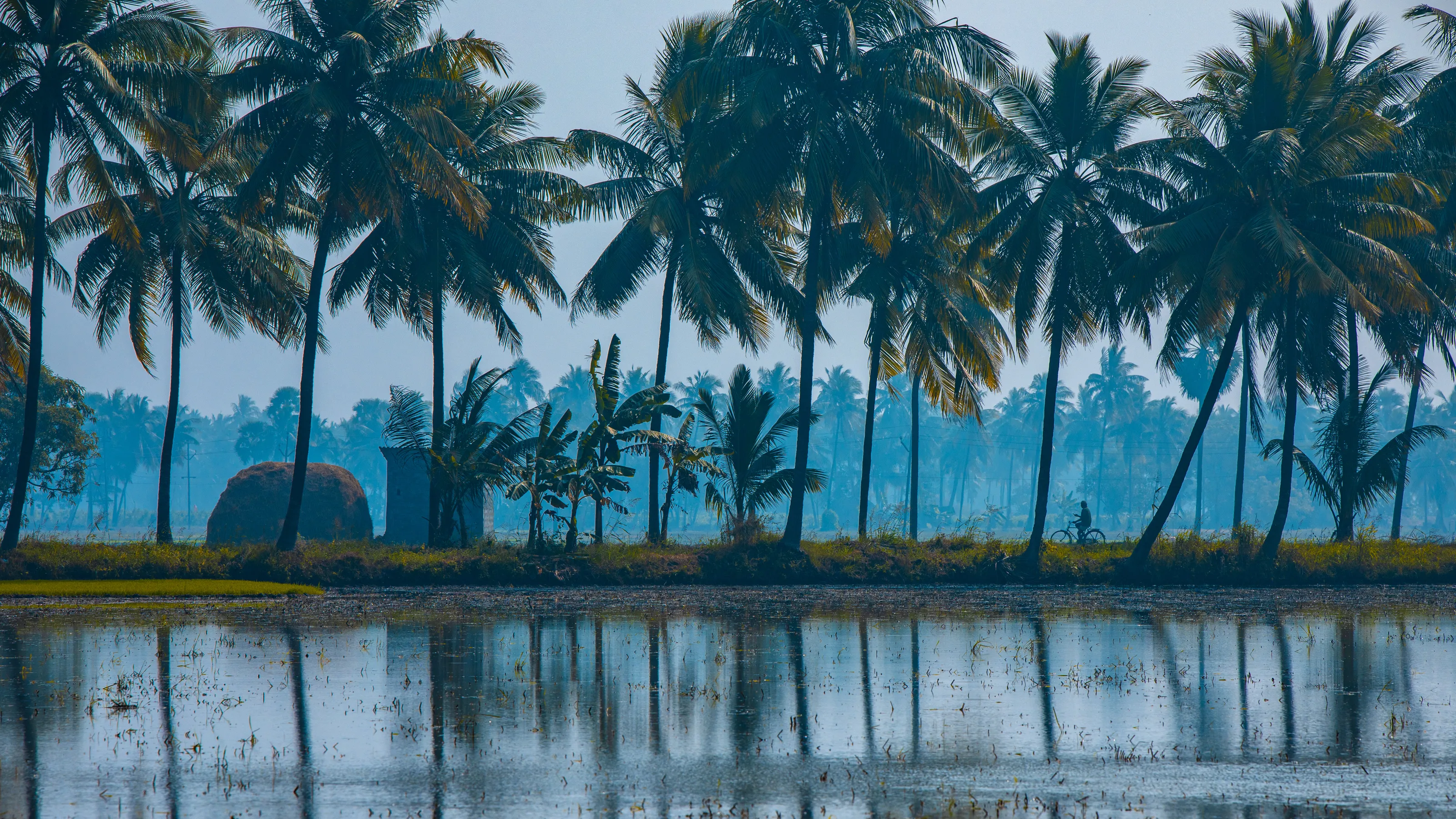 village life