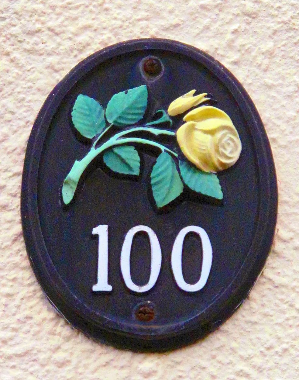 Entry 11530511