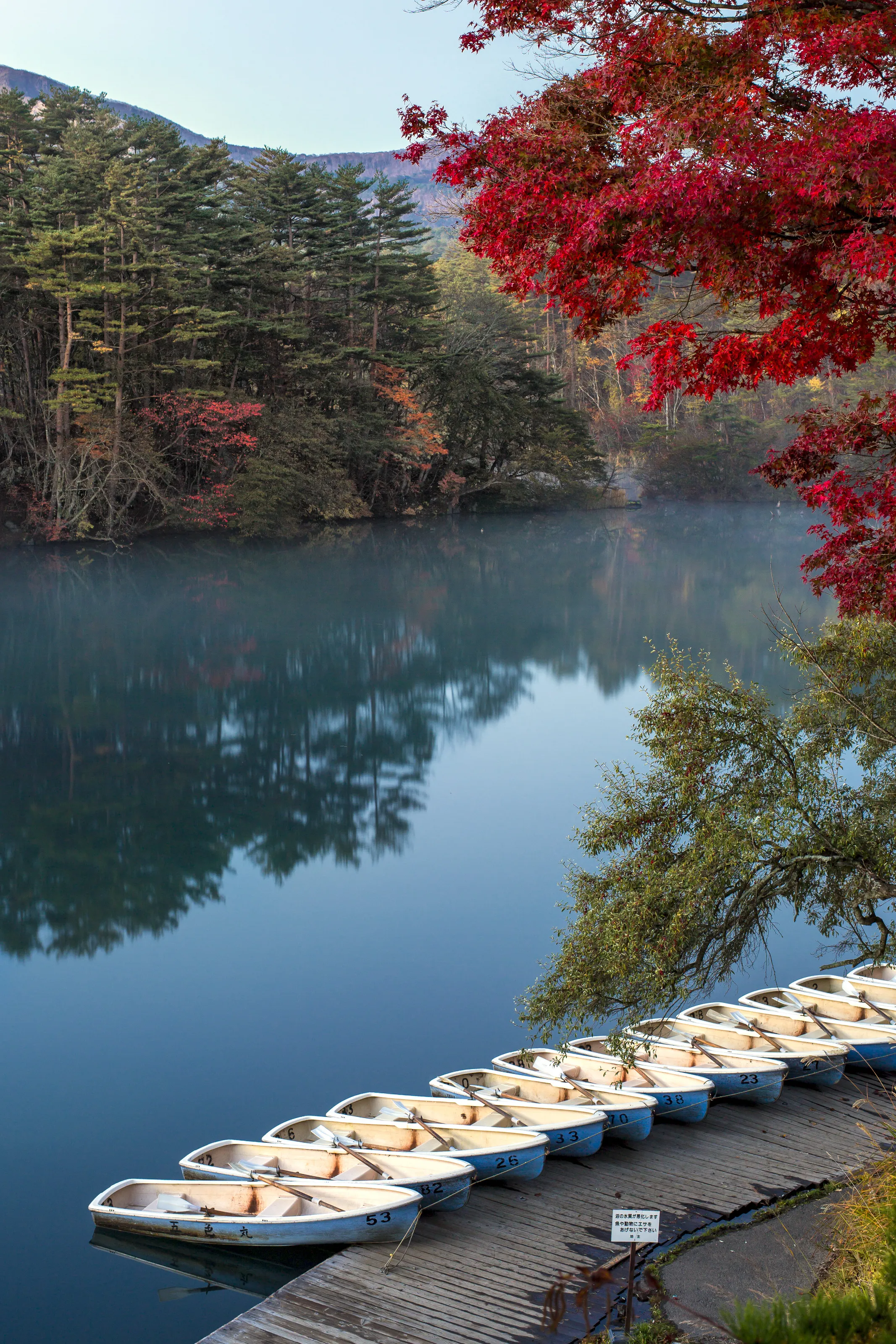 Coloured pond, Fukushima