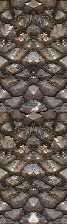 Entry 23688042