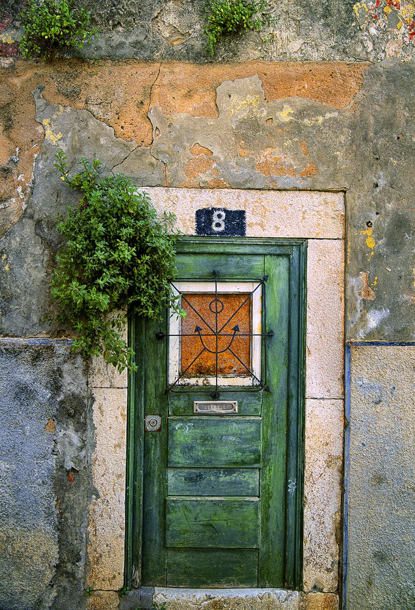 Entry 6102564
