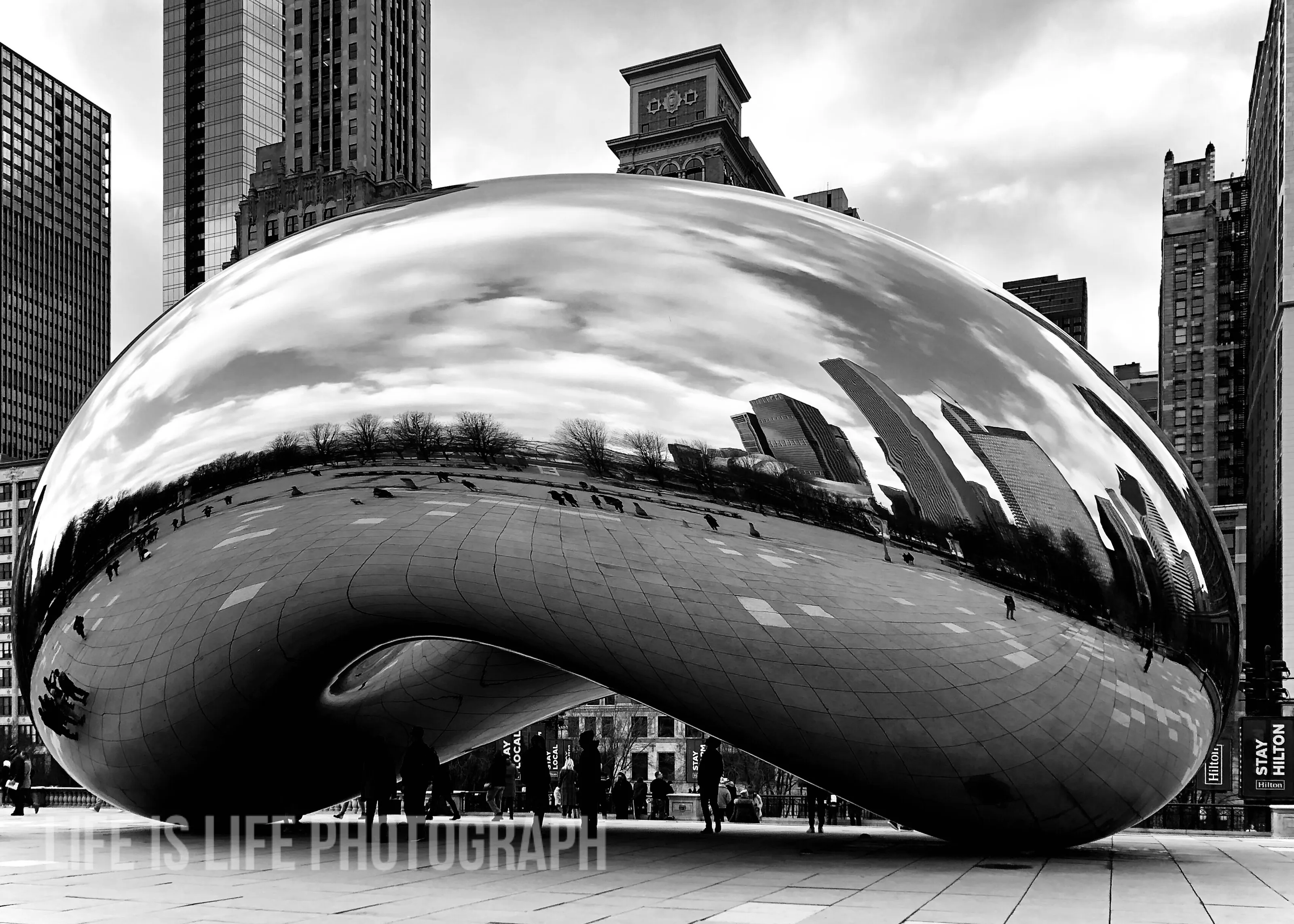 The Bean (Cloud Gate)