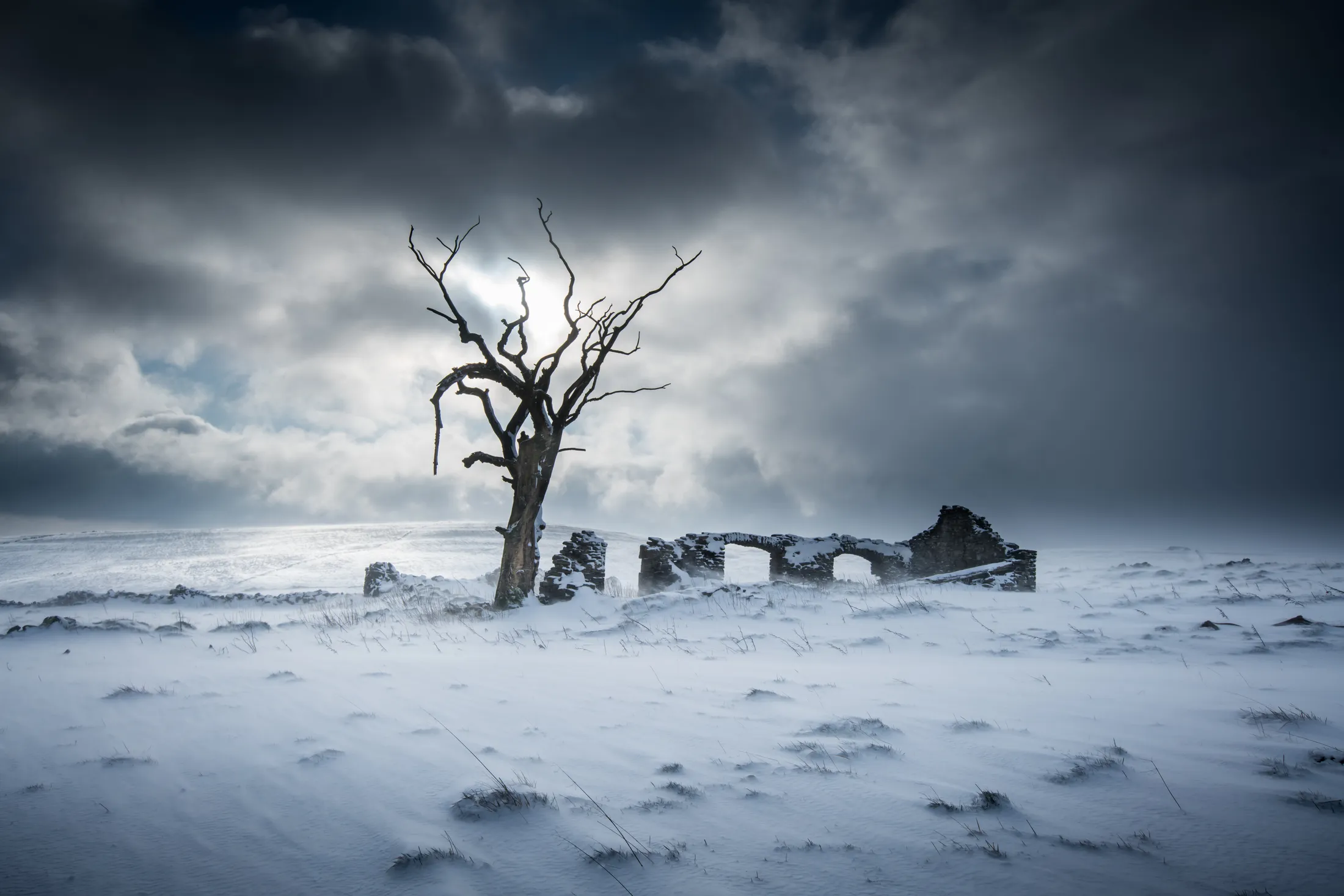 Blizzard