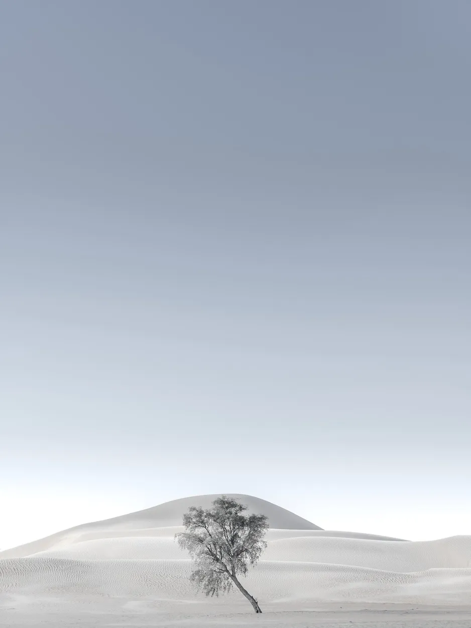 Entry 7310468