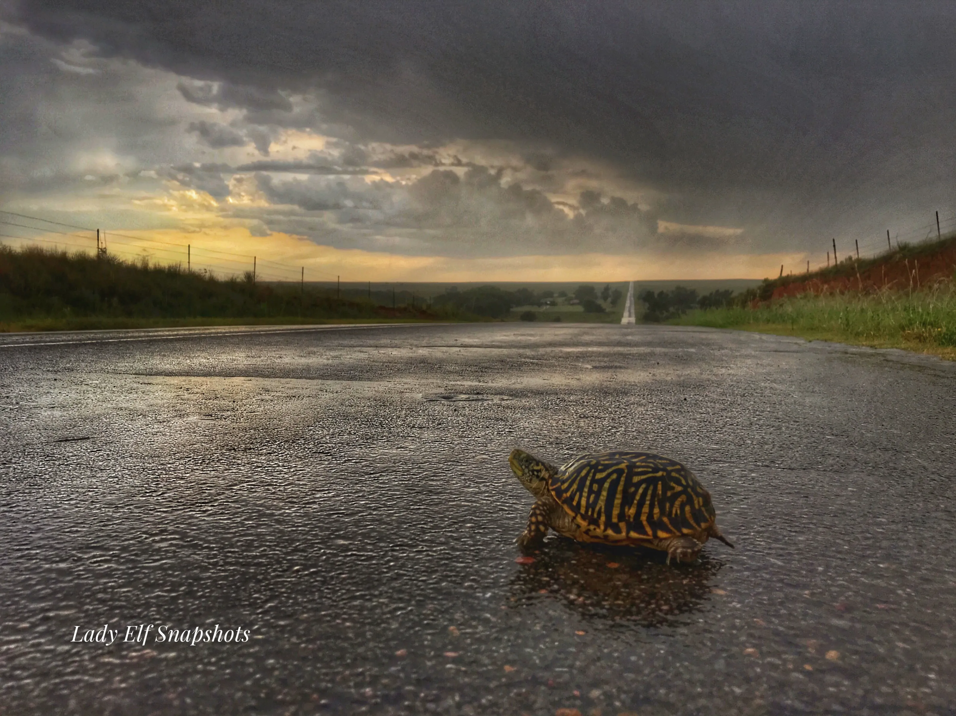 Wet Crossing