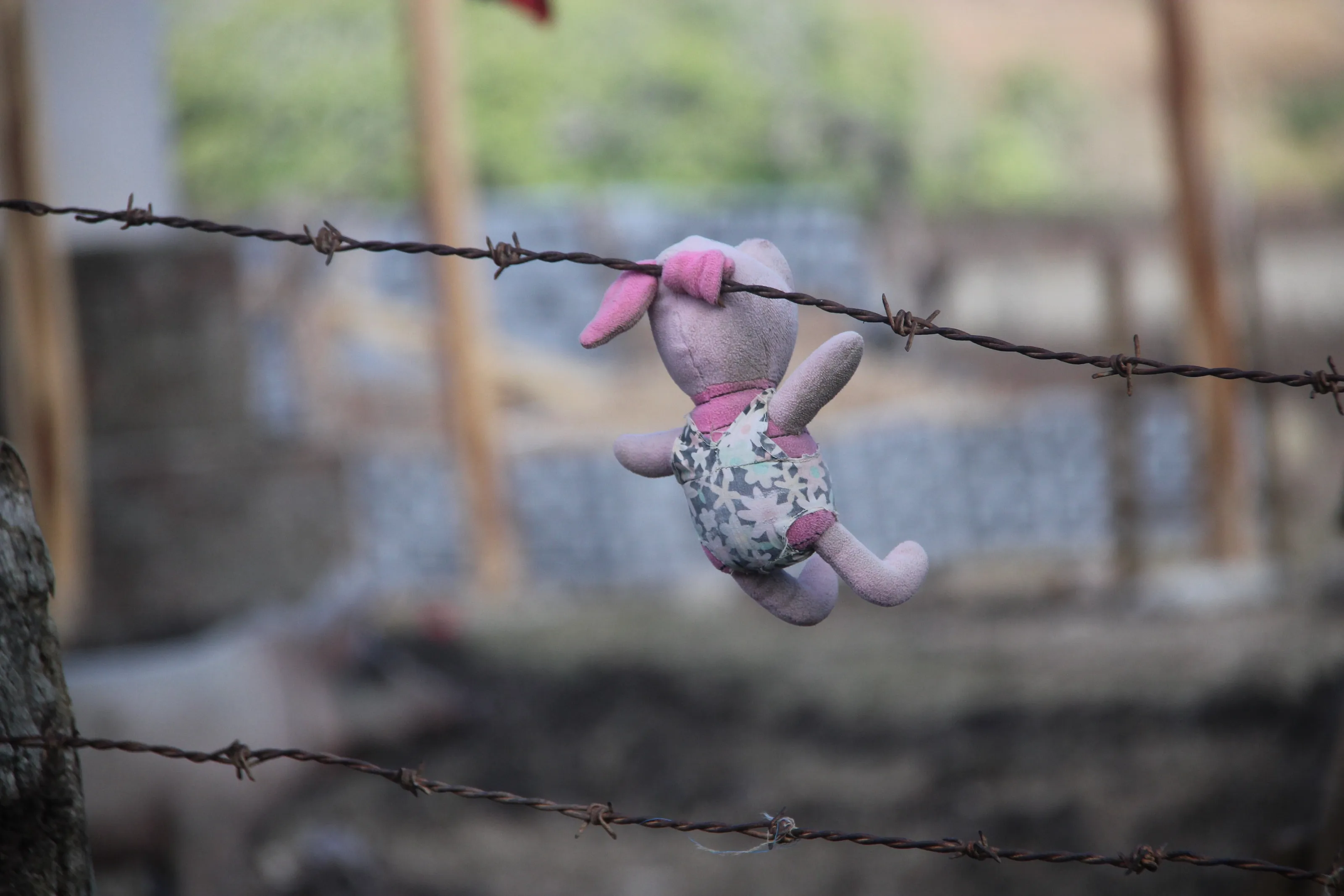 Hung Out to Dry