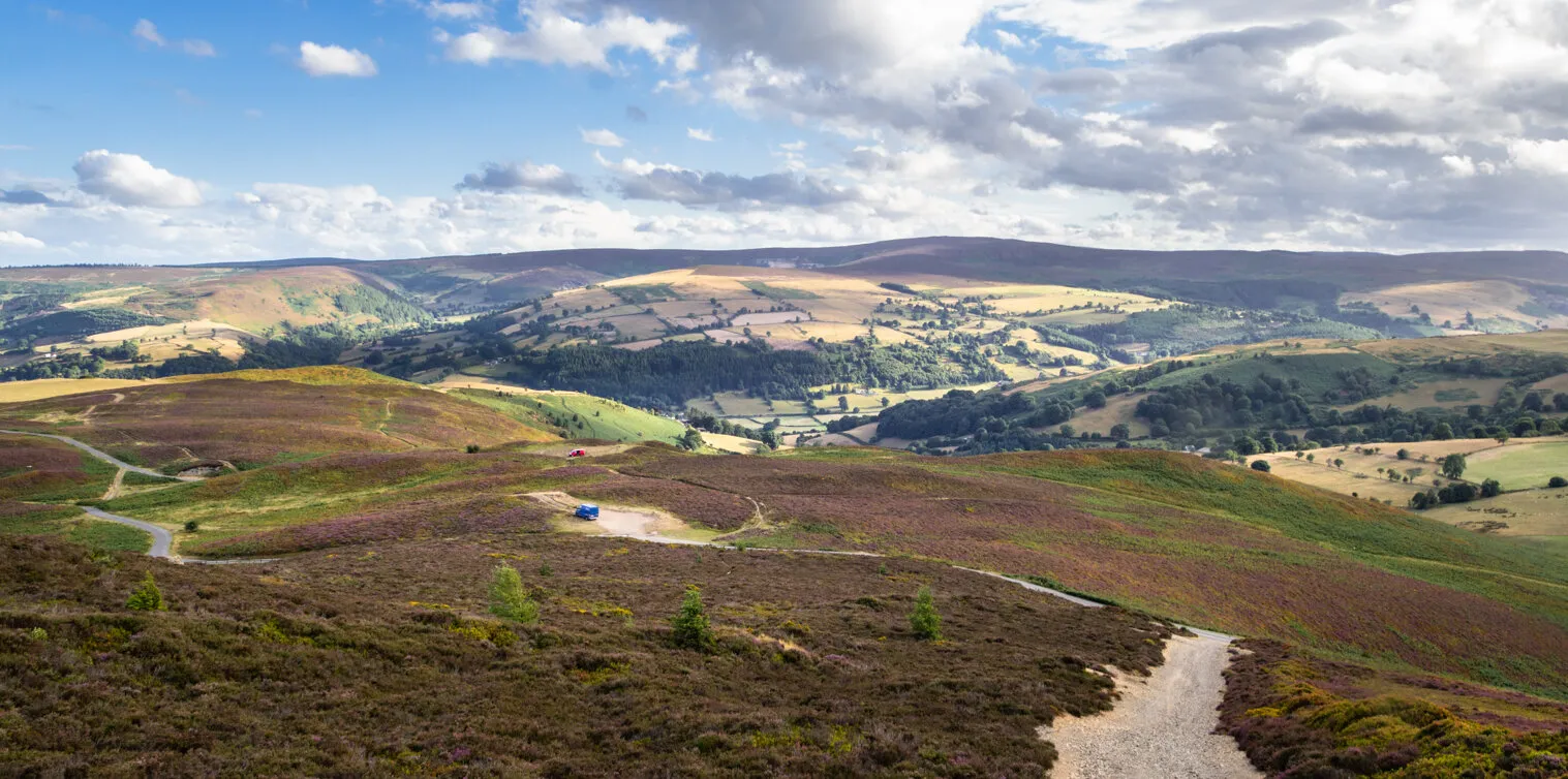The start path to Moel Gamelin, Llantisilio mountain, Llangollen, Wales.