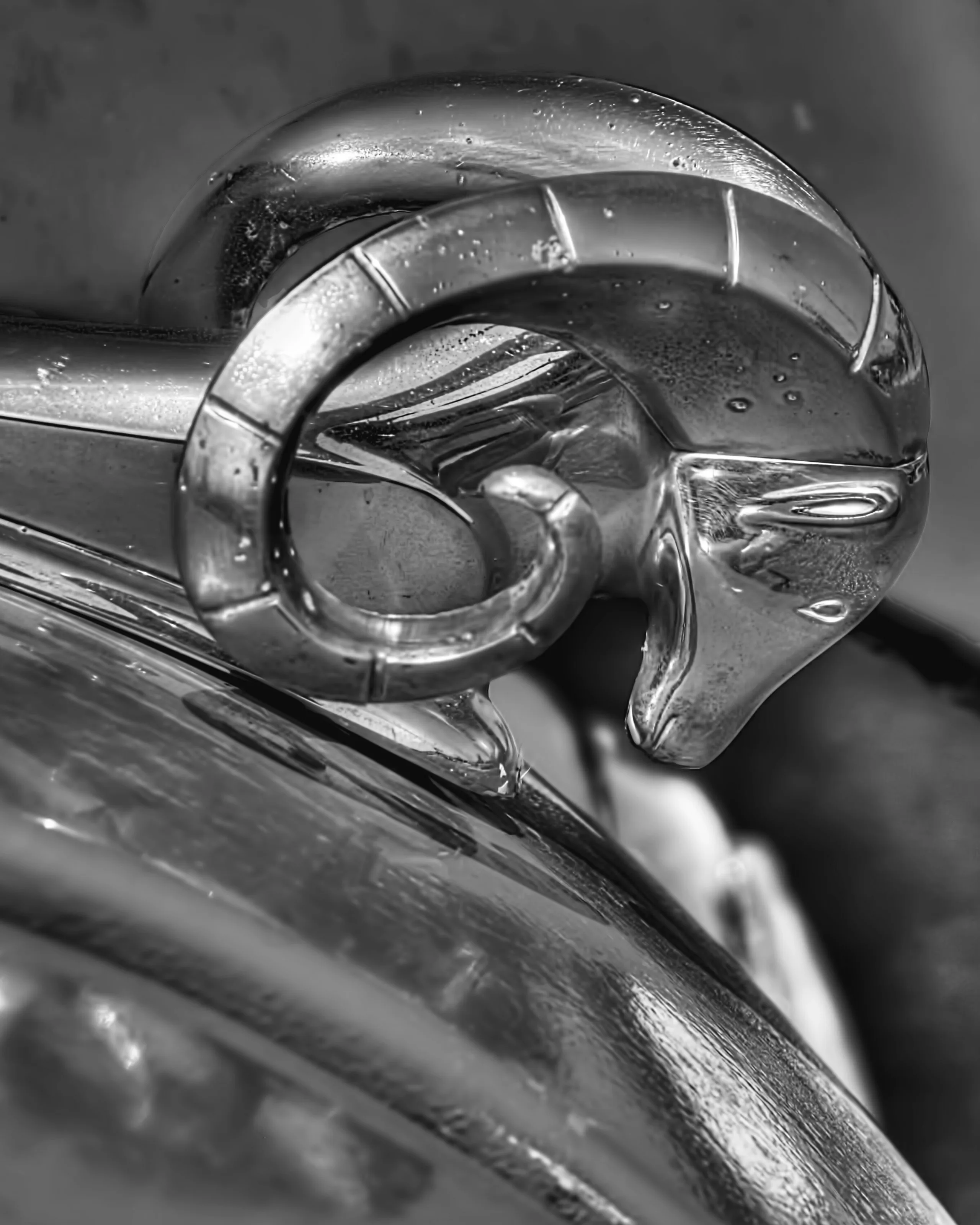 51 Dodge
