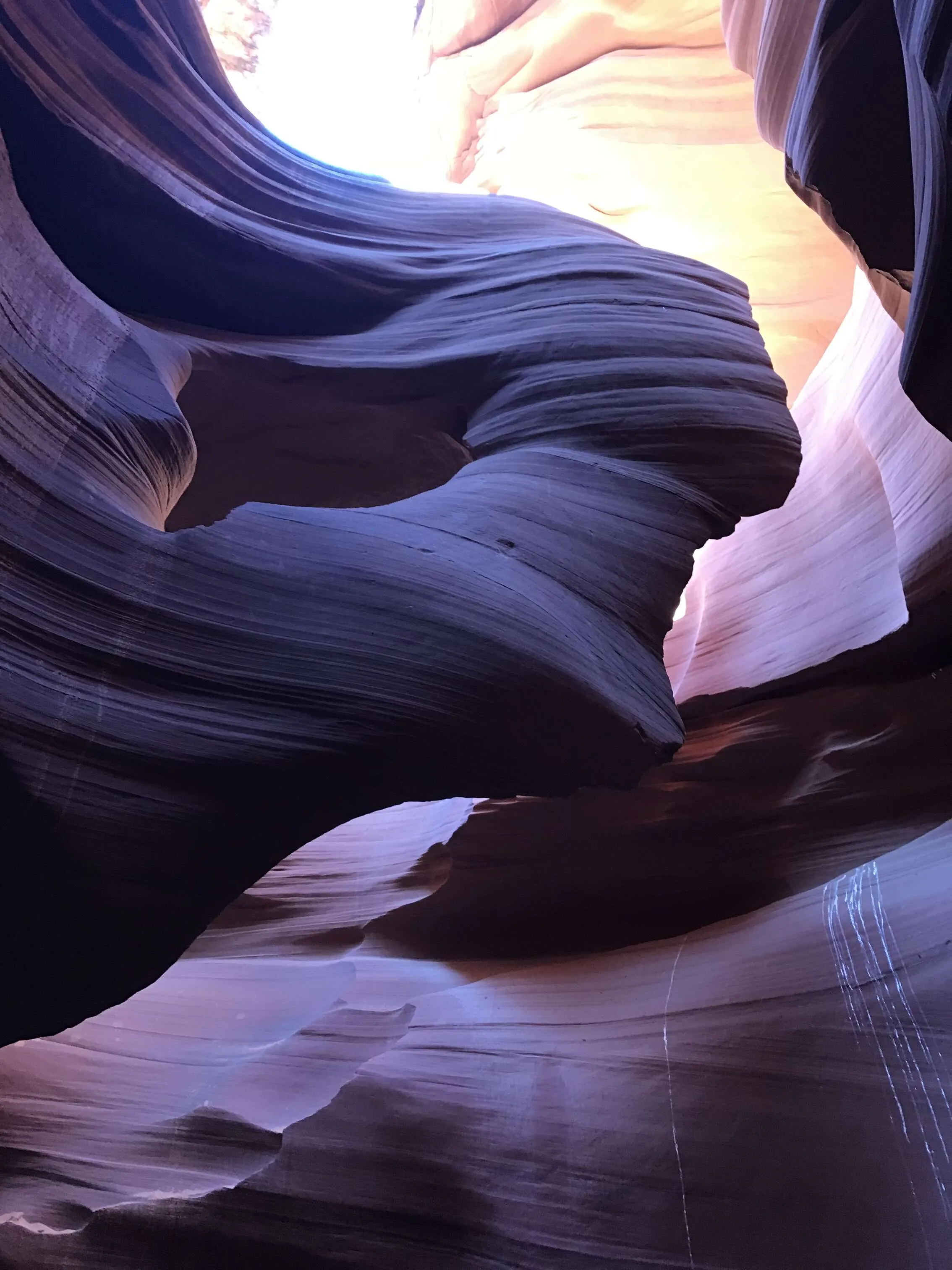 Lady in the Wind