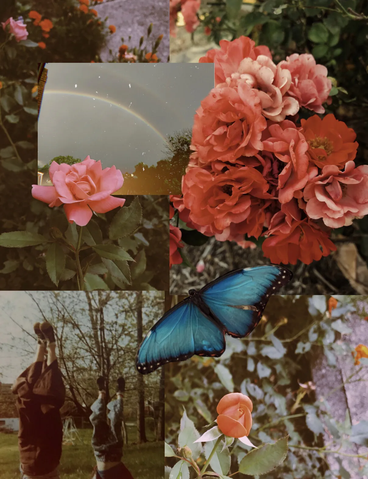 a floral collage