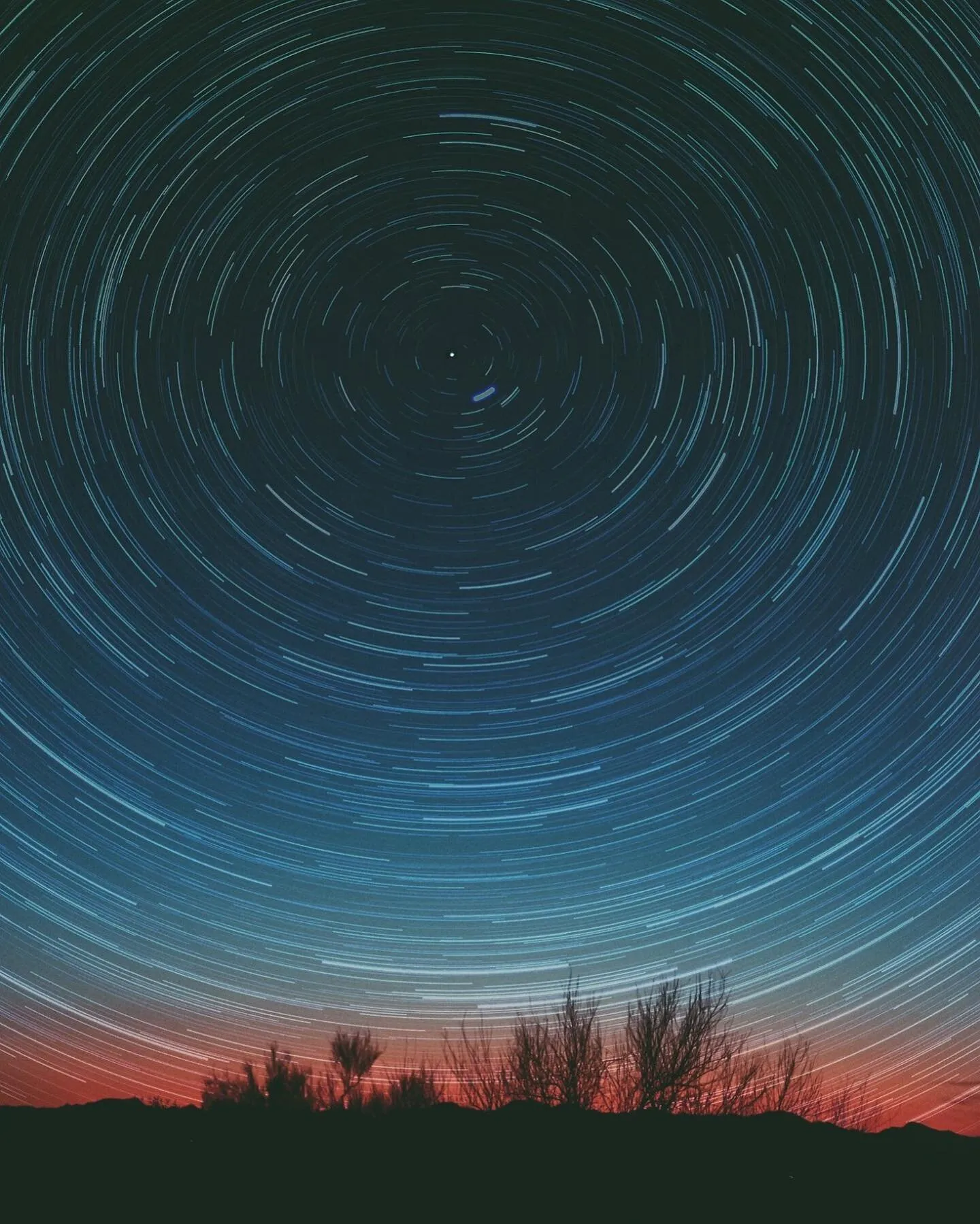 Sonoran desert
