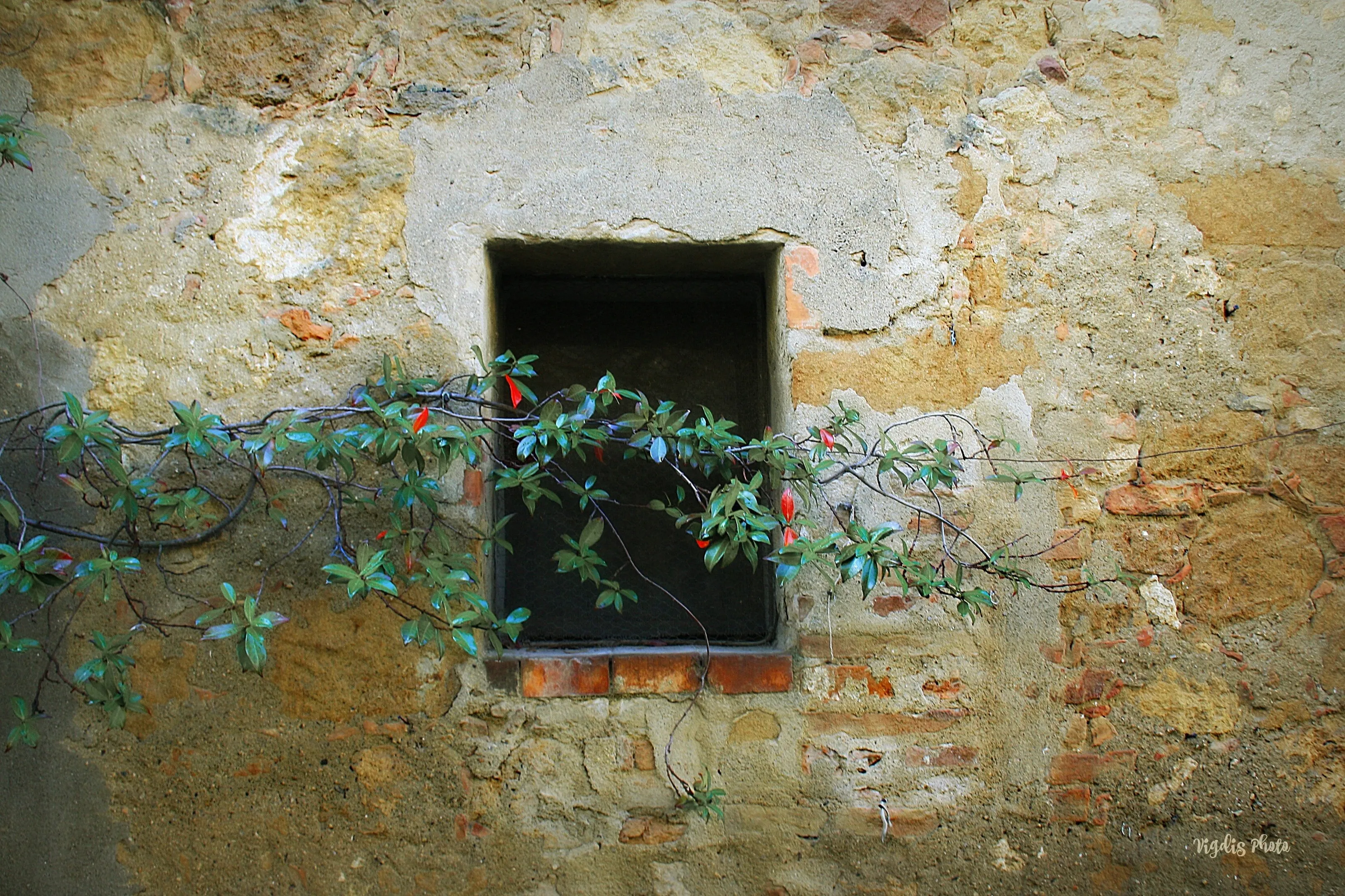 A picturesque view of an abandoned house from an ancient time
