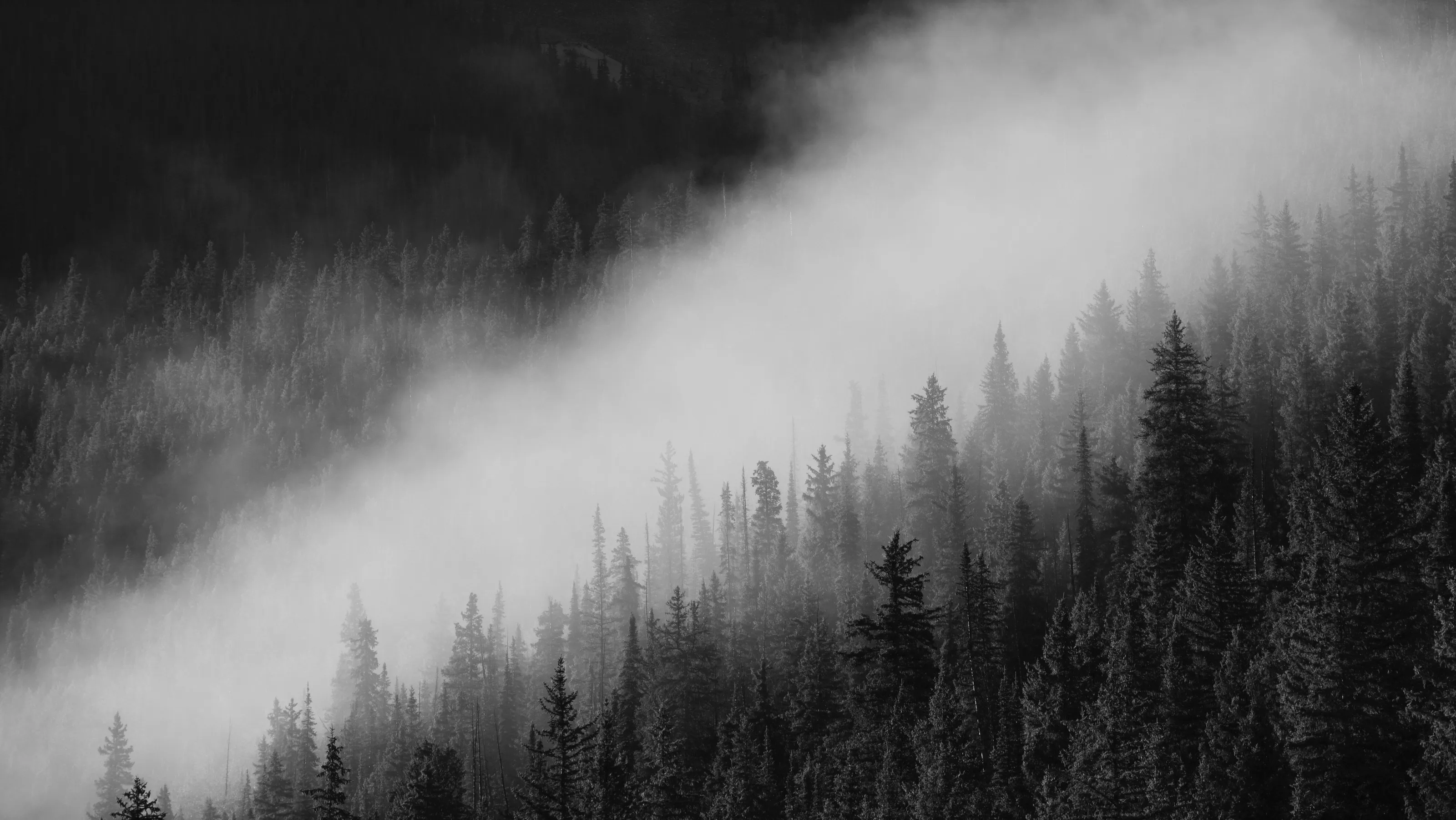 Misty Mornings