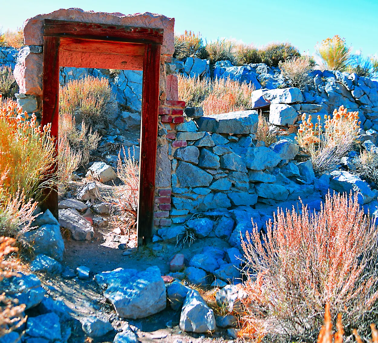Entry 6208784
