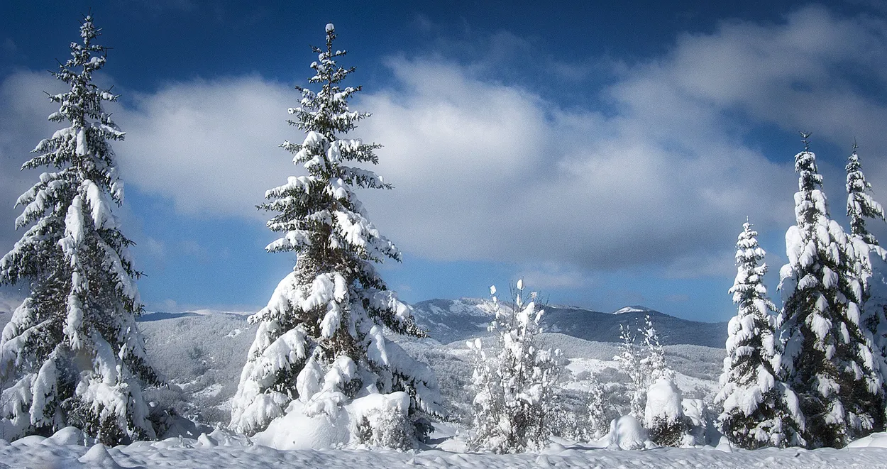 Entry 5891081