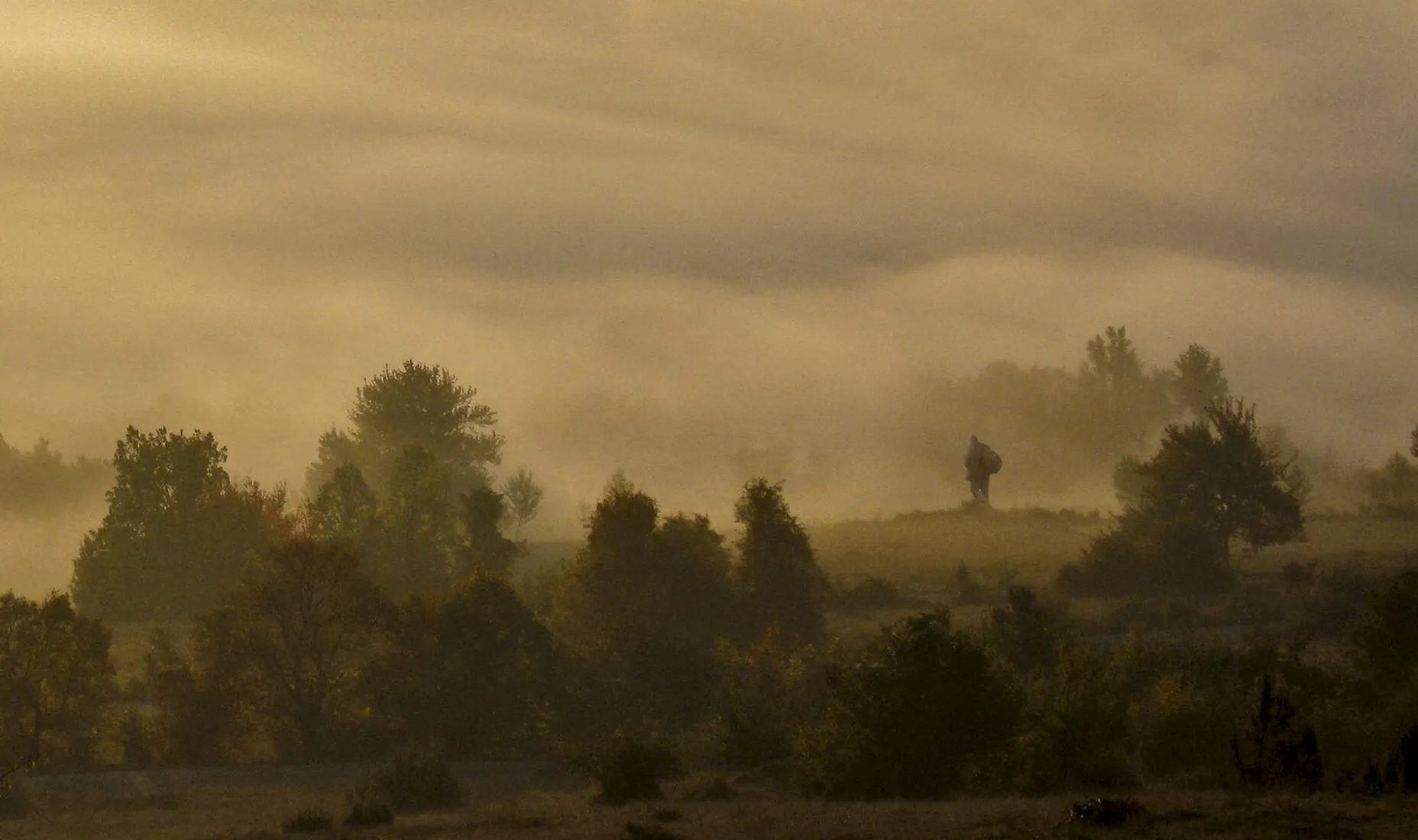 Fog and mist