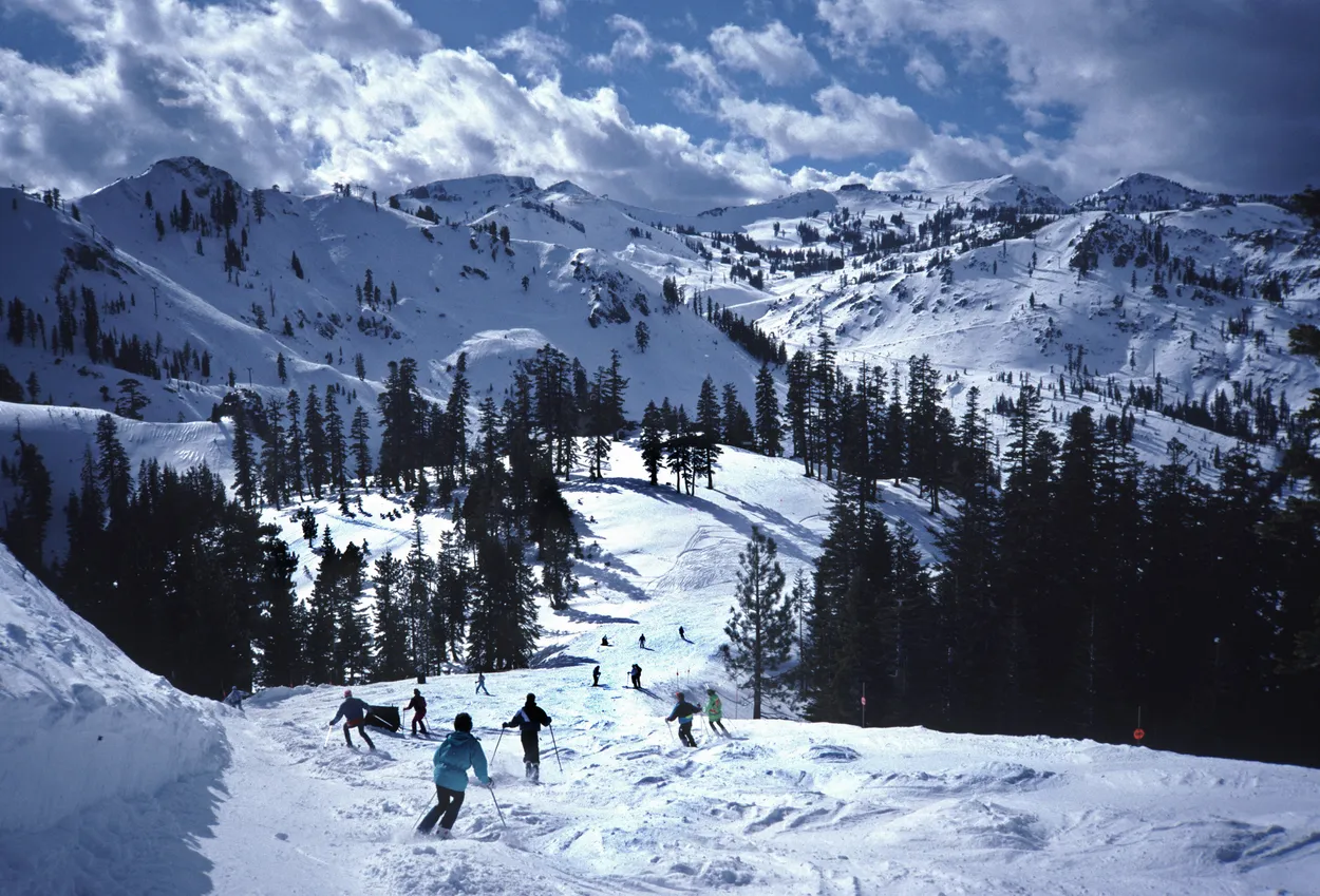 Entry 10759973
