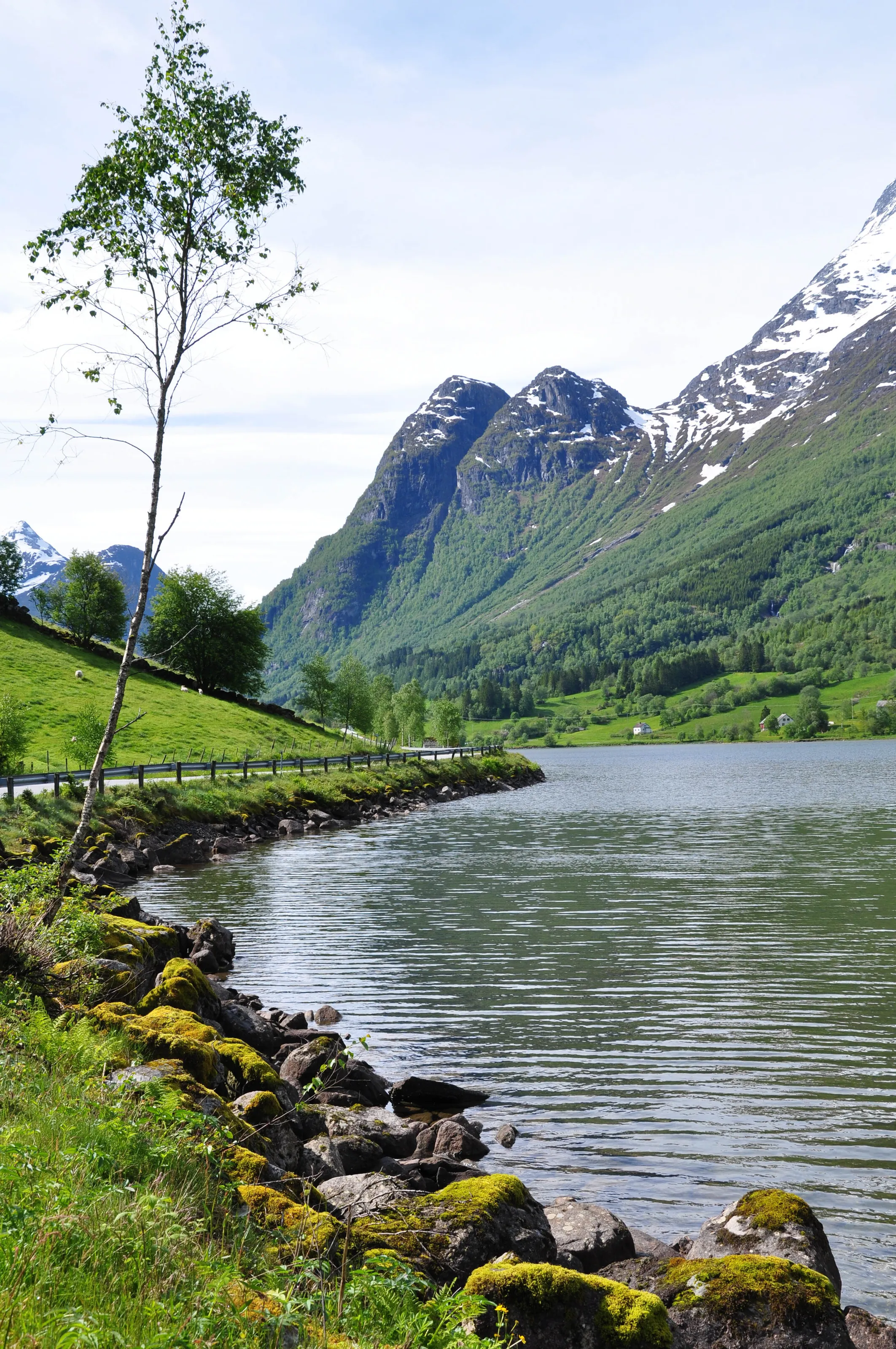 TWIN PEAKS NORWAY