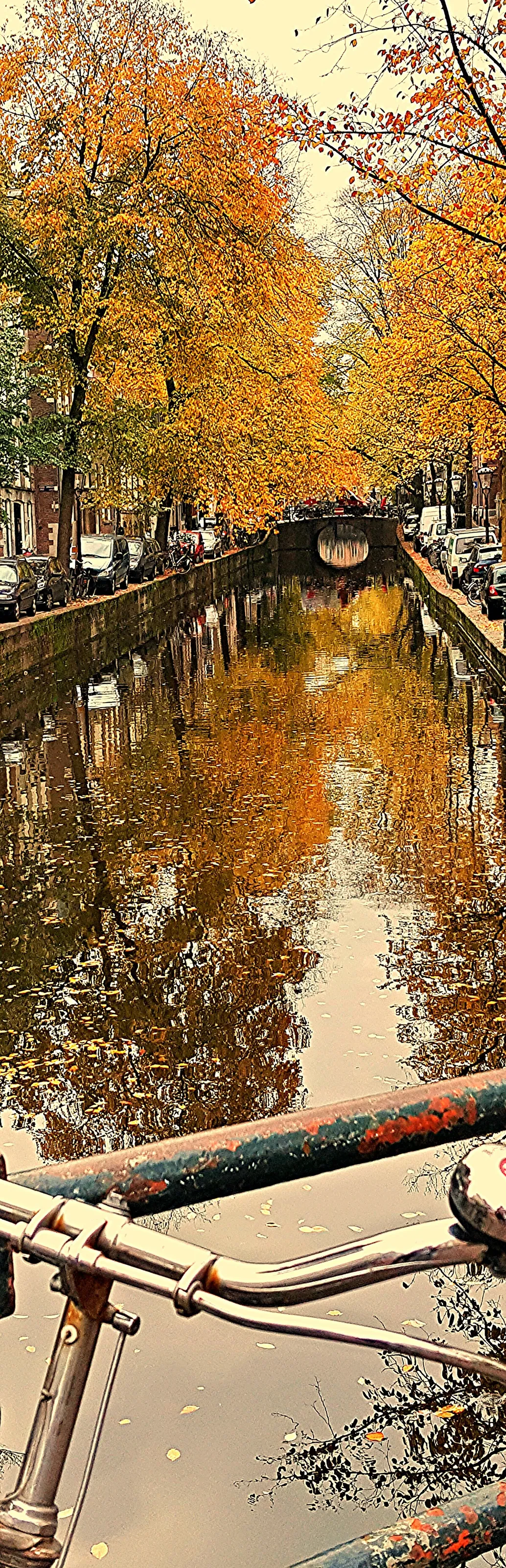 Autumnal Amsterdam