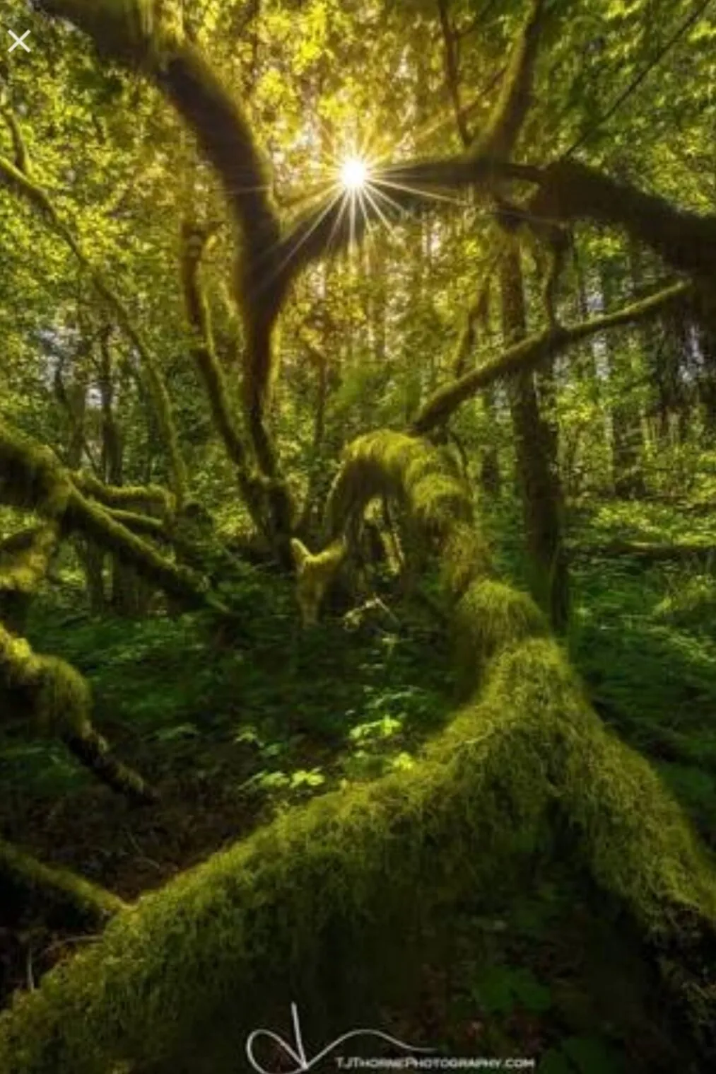 Beauty of Nature
