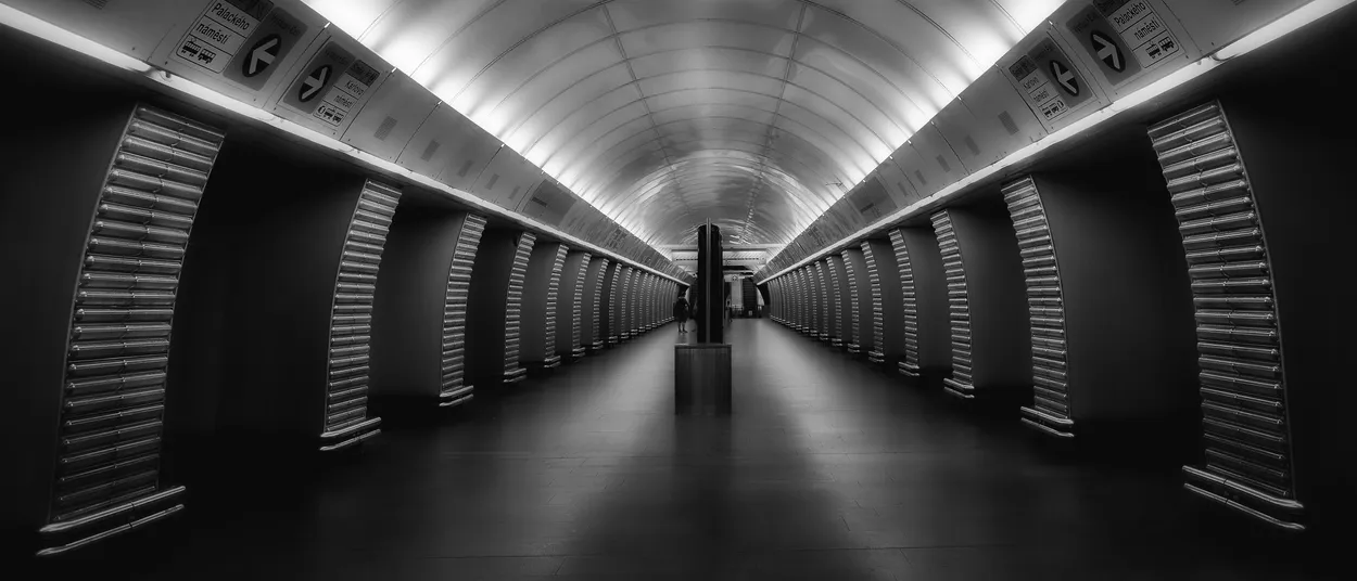 Entry 11818503