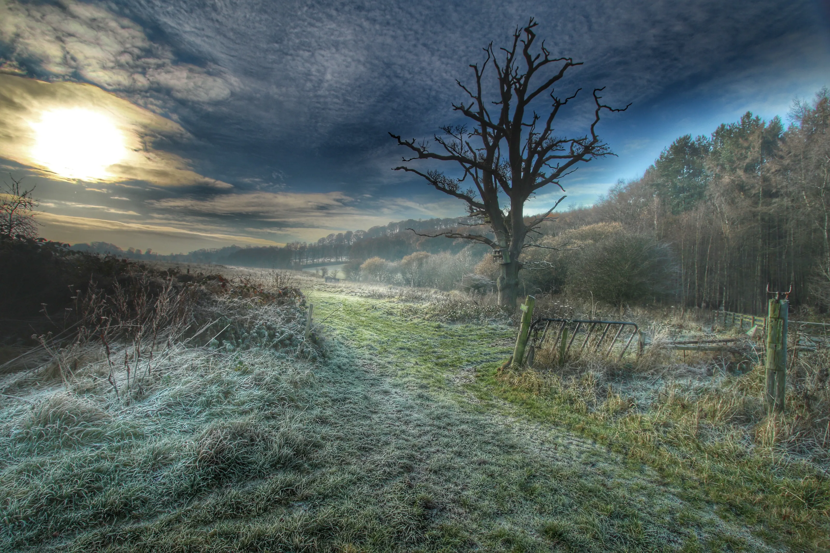 Cold and frosty morning