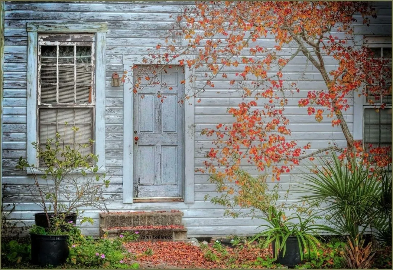 Finding fall in Florida
