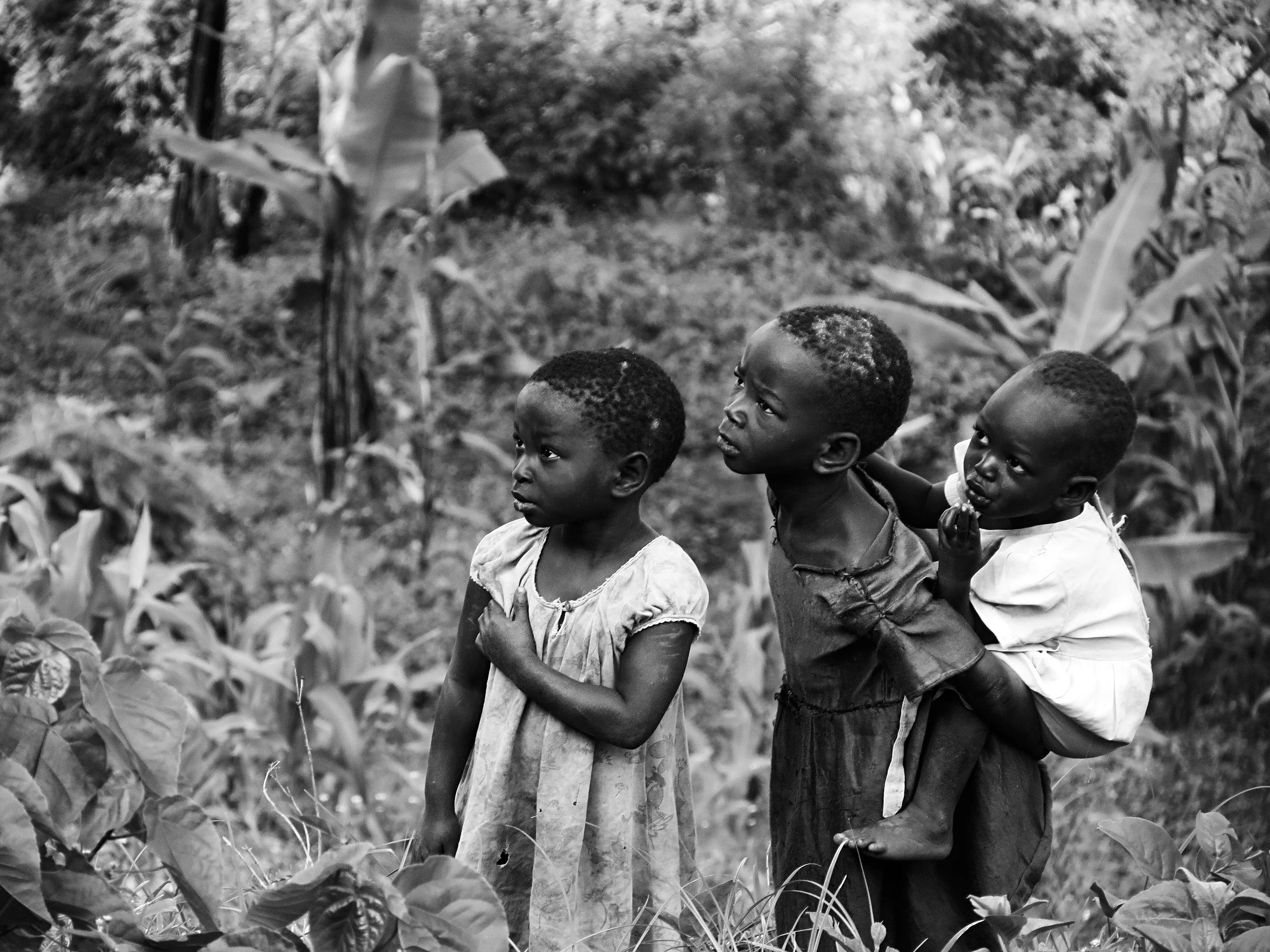 Curious Children of Uganda
